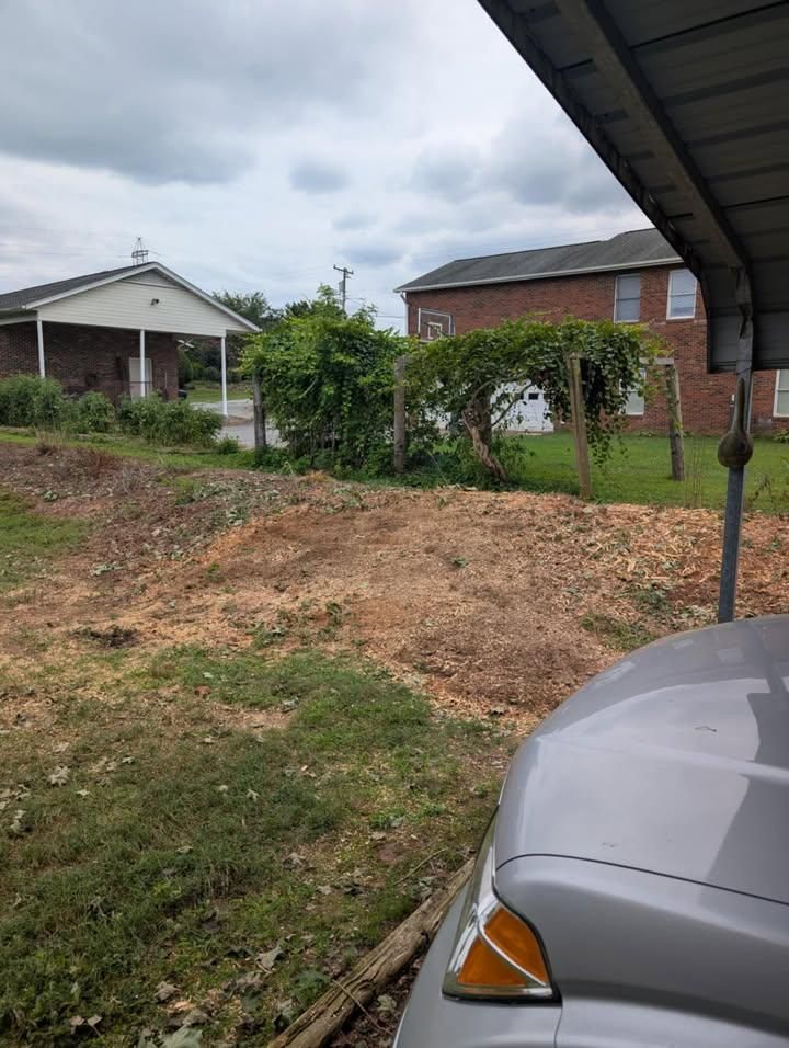  for Down South Tree Care and Landscaping in Maiden, NC