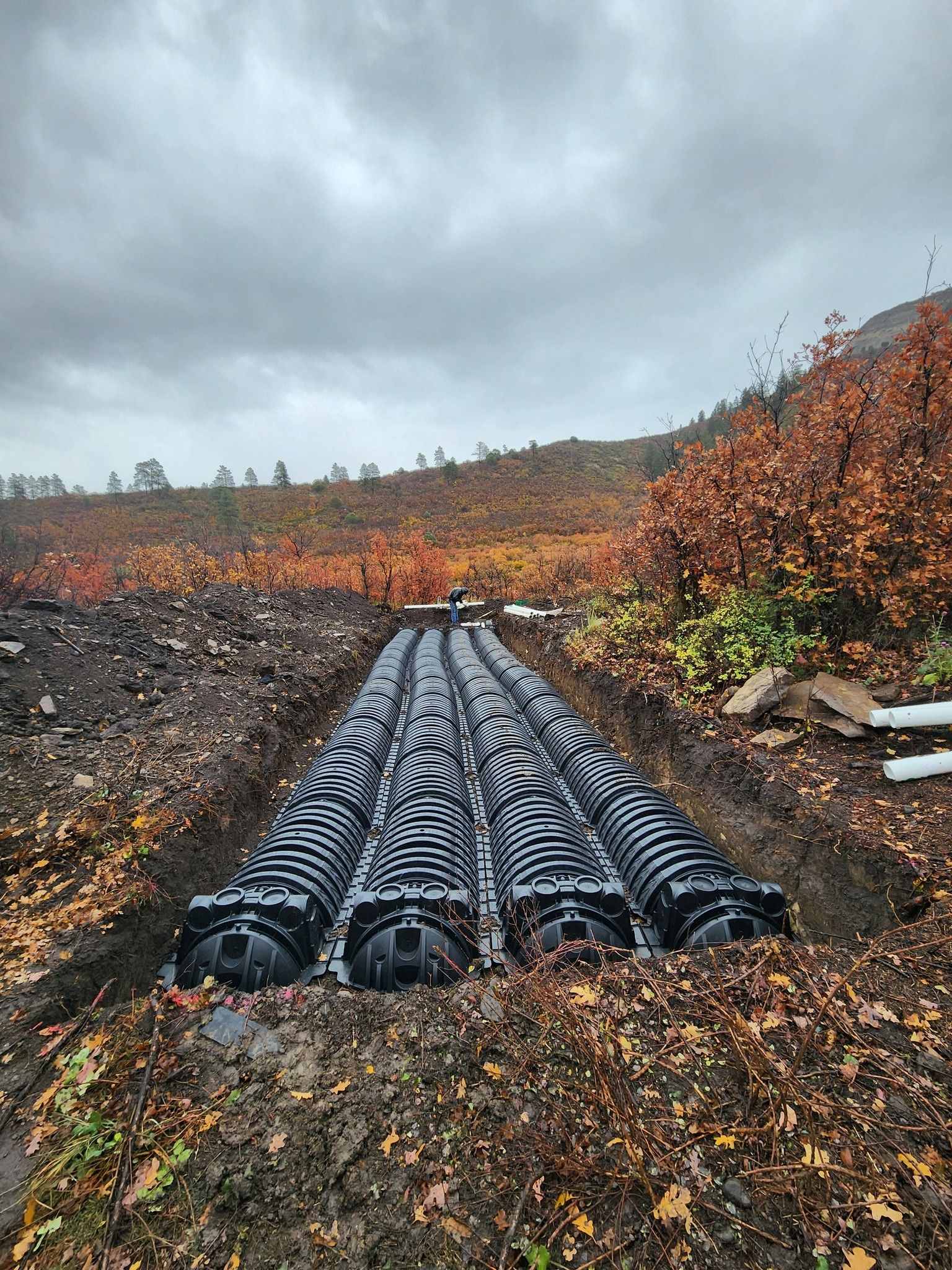  for Markham Septic & Excavation in Pagosa Springs, CO