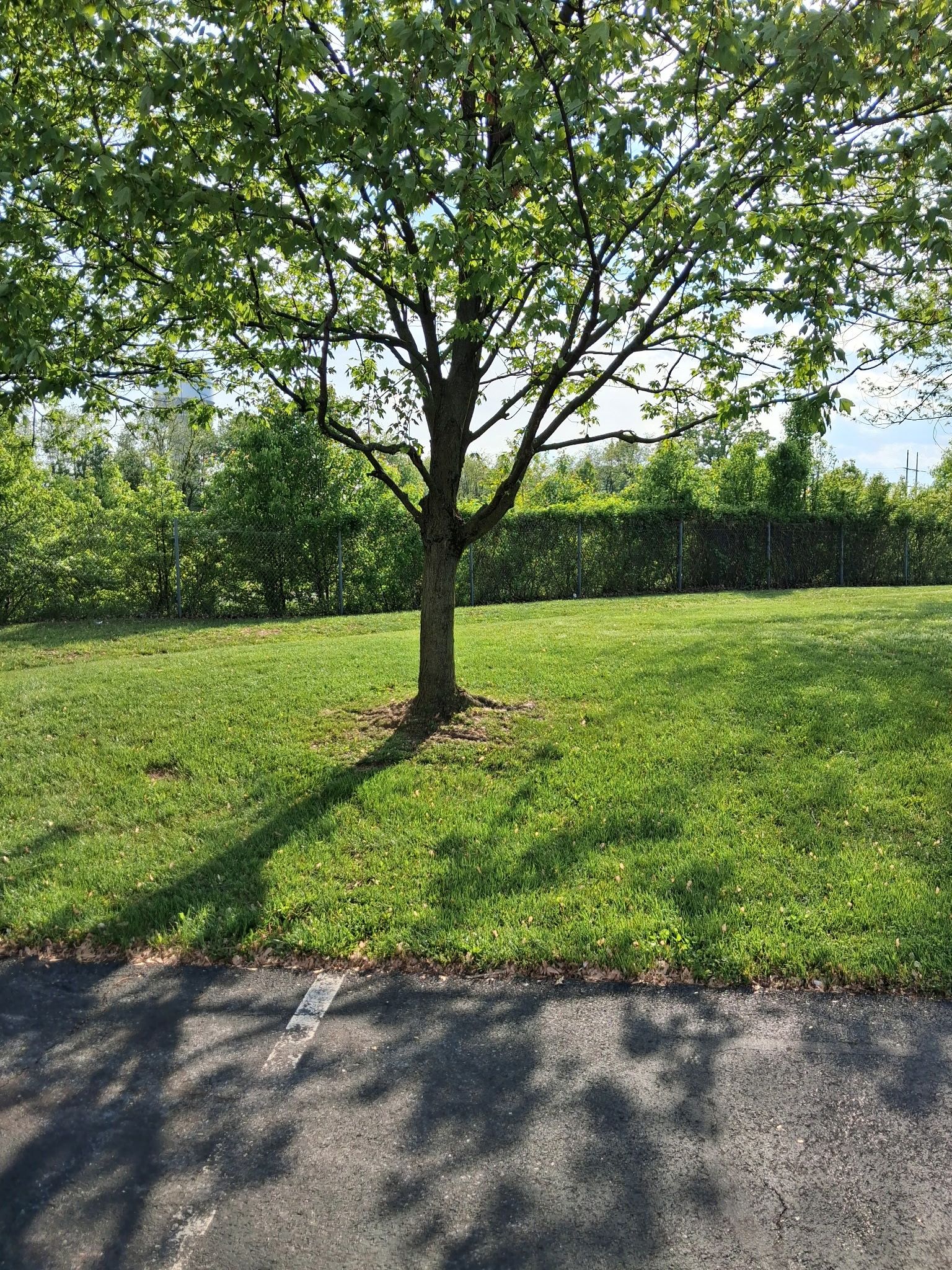  for GlennCo Solutions, Inc. in Frederick, MD