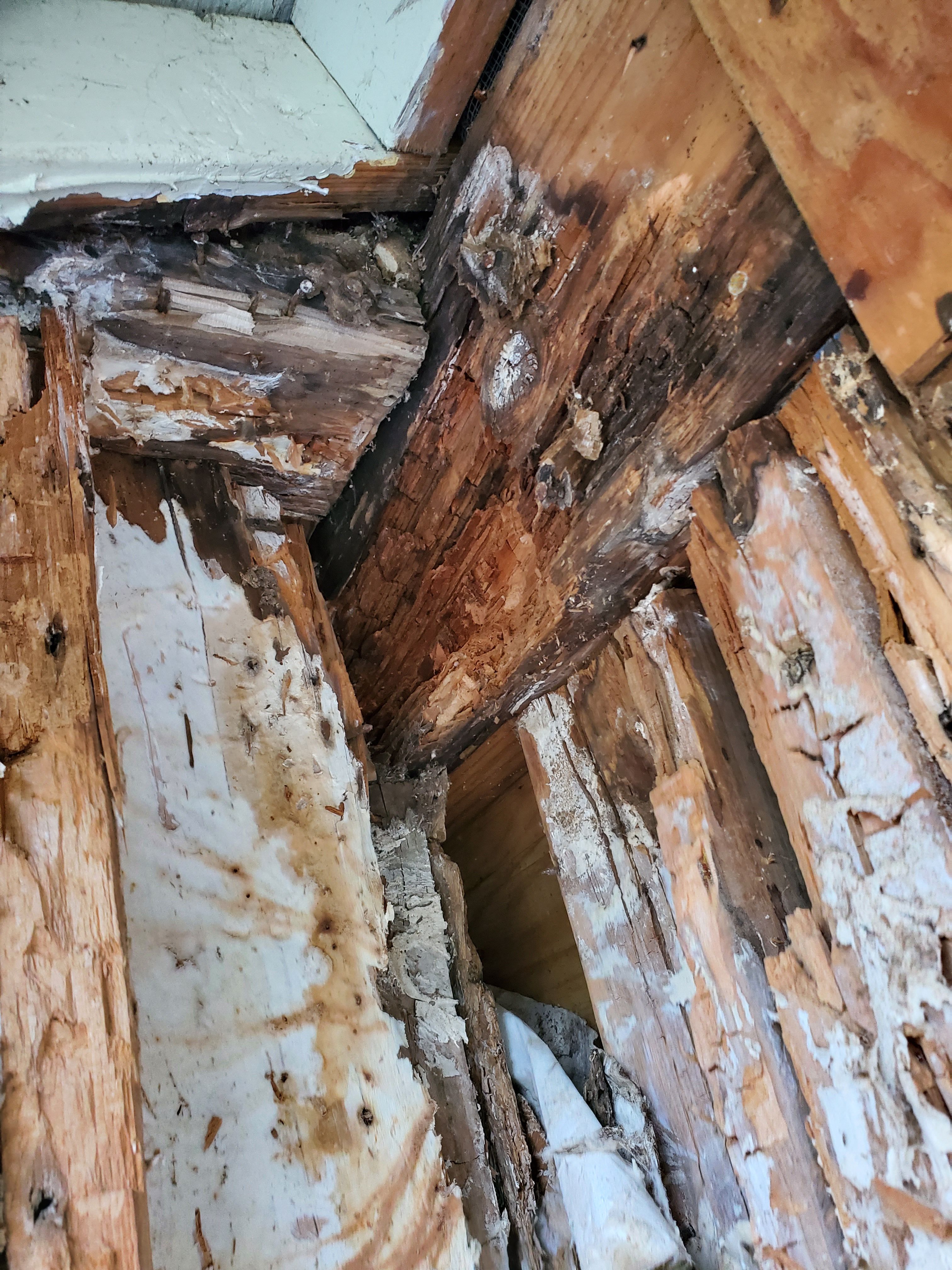  for Home Pros in Maple Falls, WA