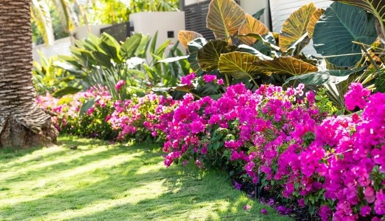 All Photos for EAH Landscaping Services in Germantown, MD