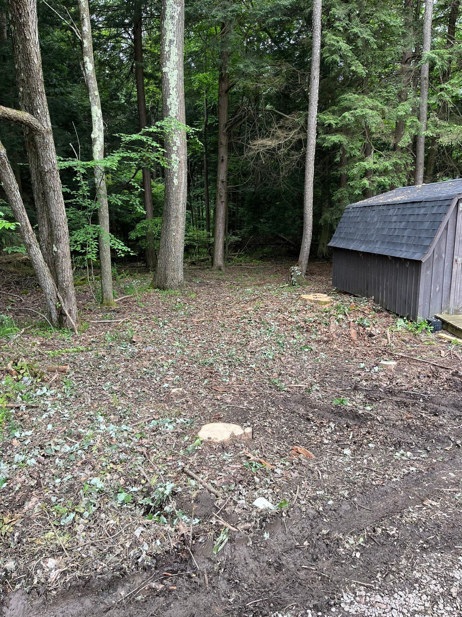 for J&E Tree & Excavation Services in Sandy, PA