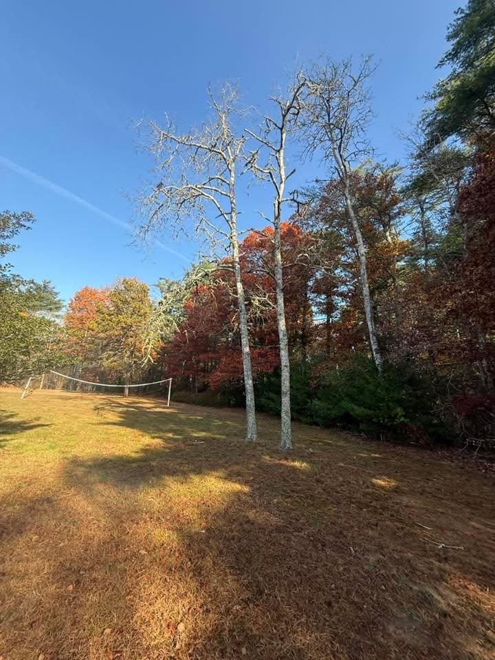  for Lucas Property Maintenance LLC in New Bedford, MA