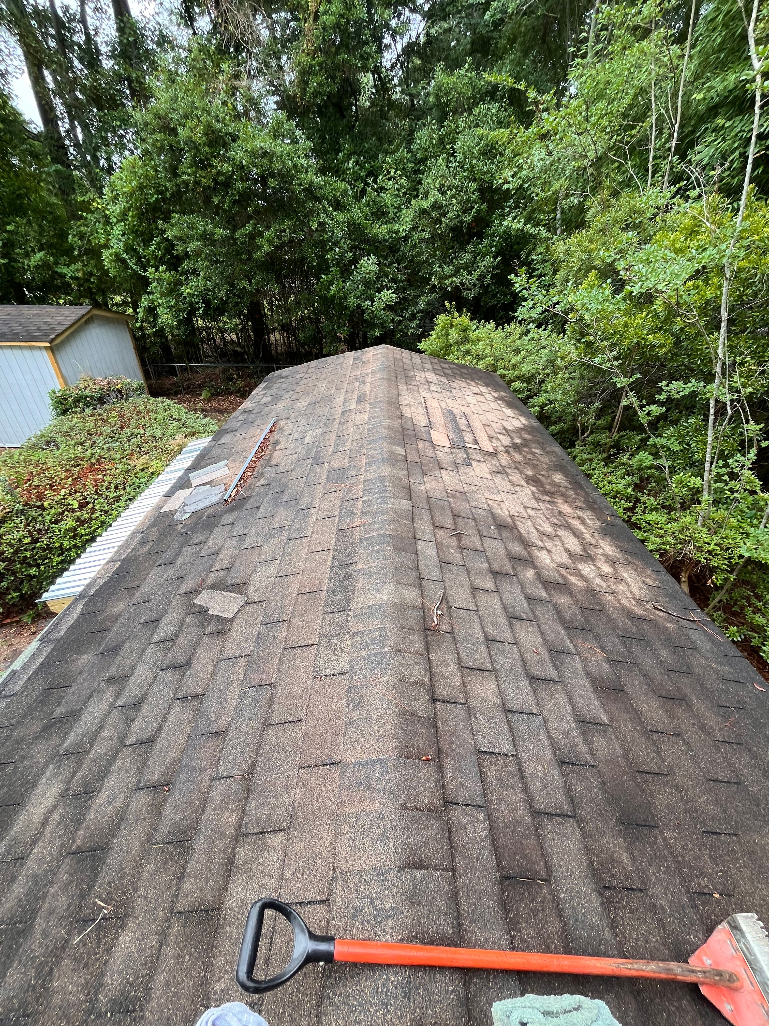  for Green Wing Home Services in Garden City, SC