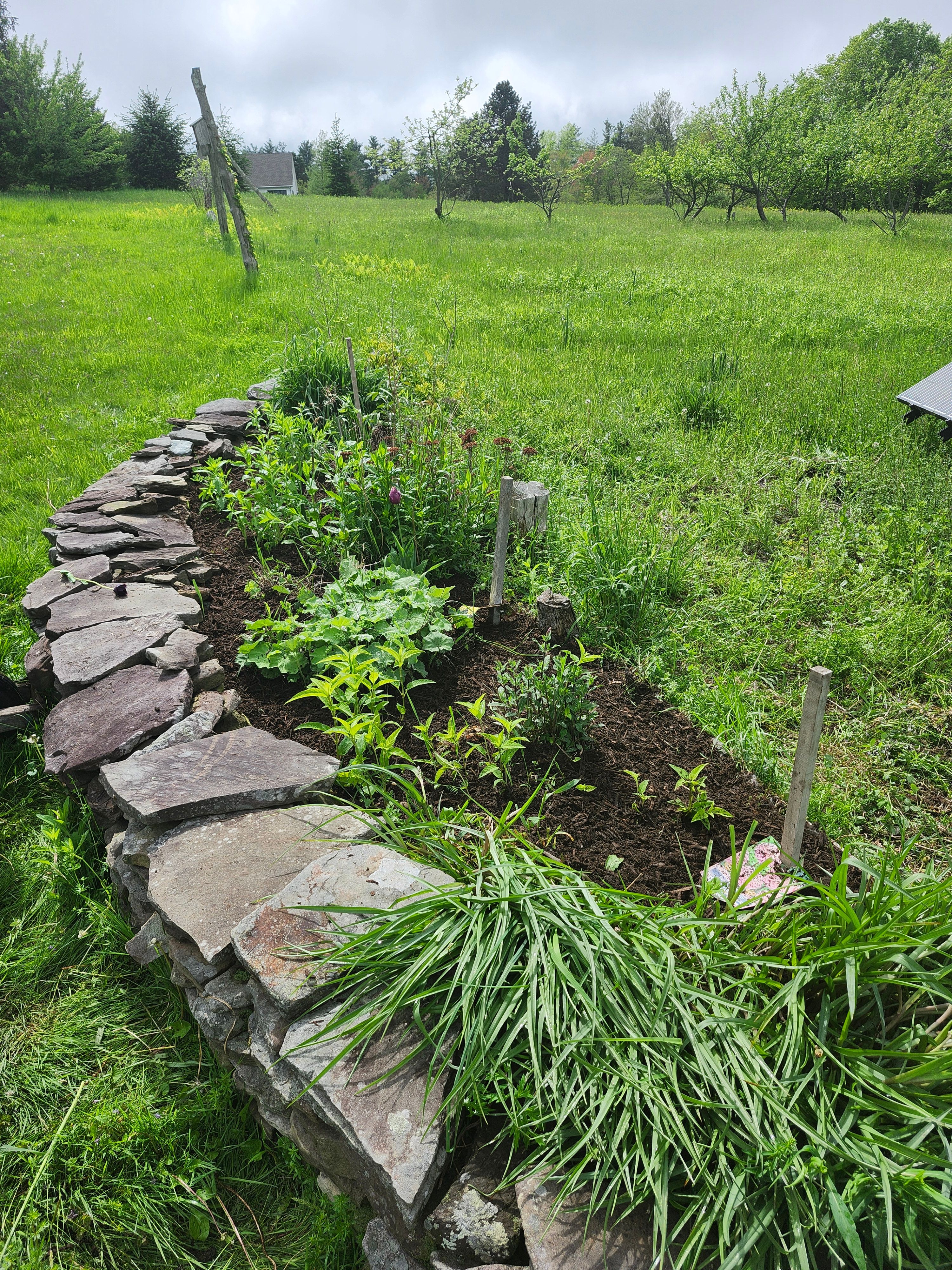 Flower & Tree Planting for Landscape Innovations LLC in Torrington, CT