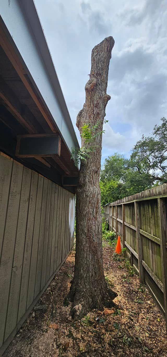  for Servin's Tree Care  in Houston, TX