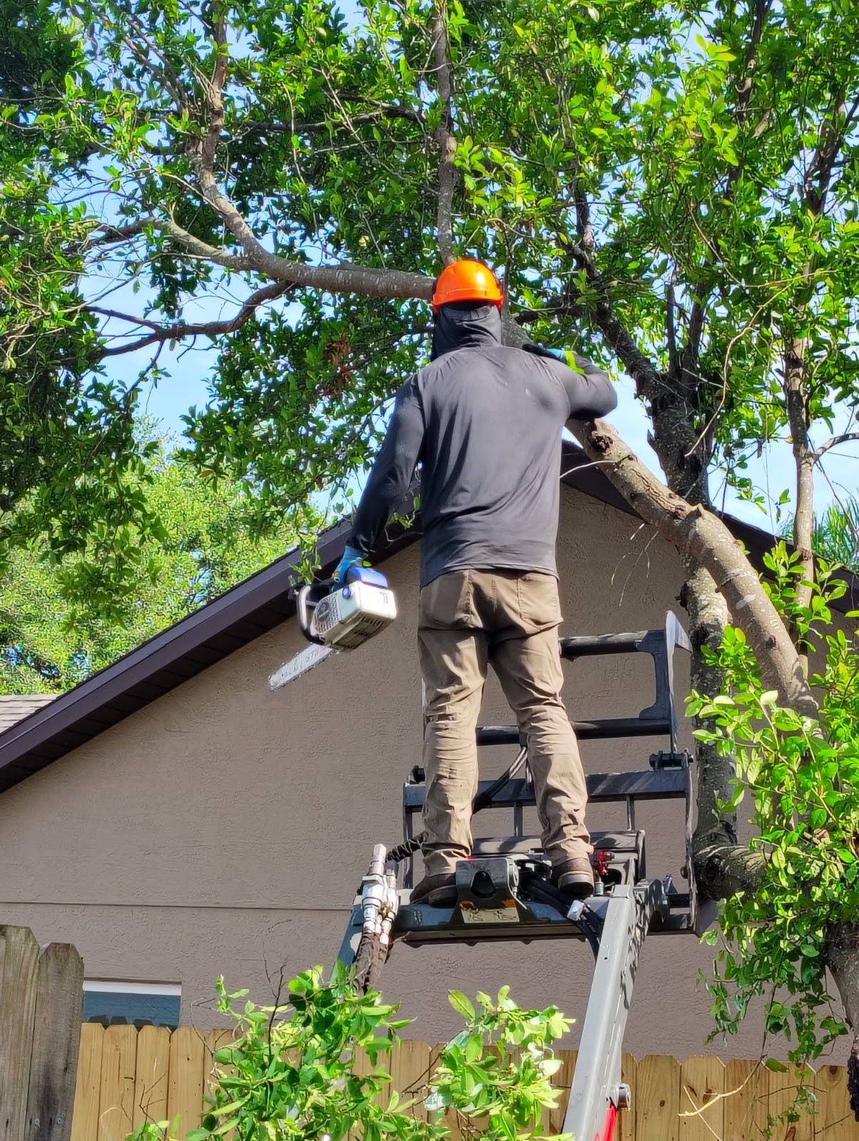 All Photos for Near Me Tree Service, Inc. in DeLand, FL