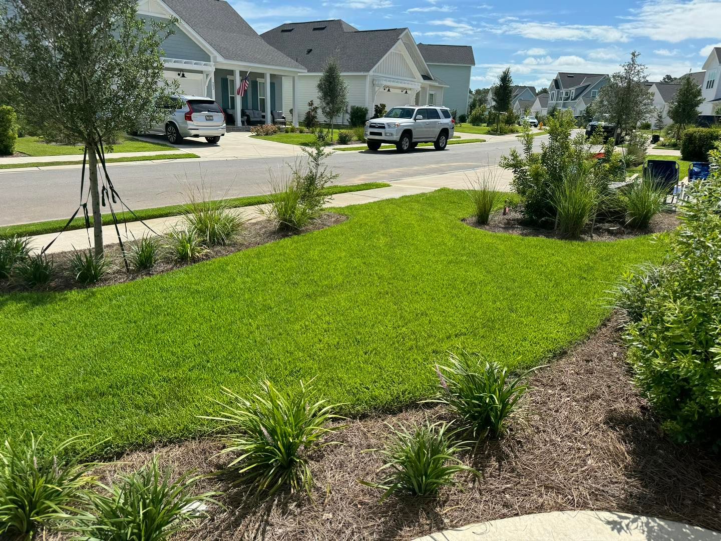 Landscaping for M&M Landscaping in Lynn Haven, FL