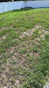  for The Sprinkler Lady LLC in Port Orange, FL