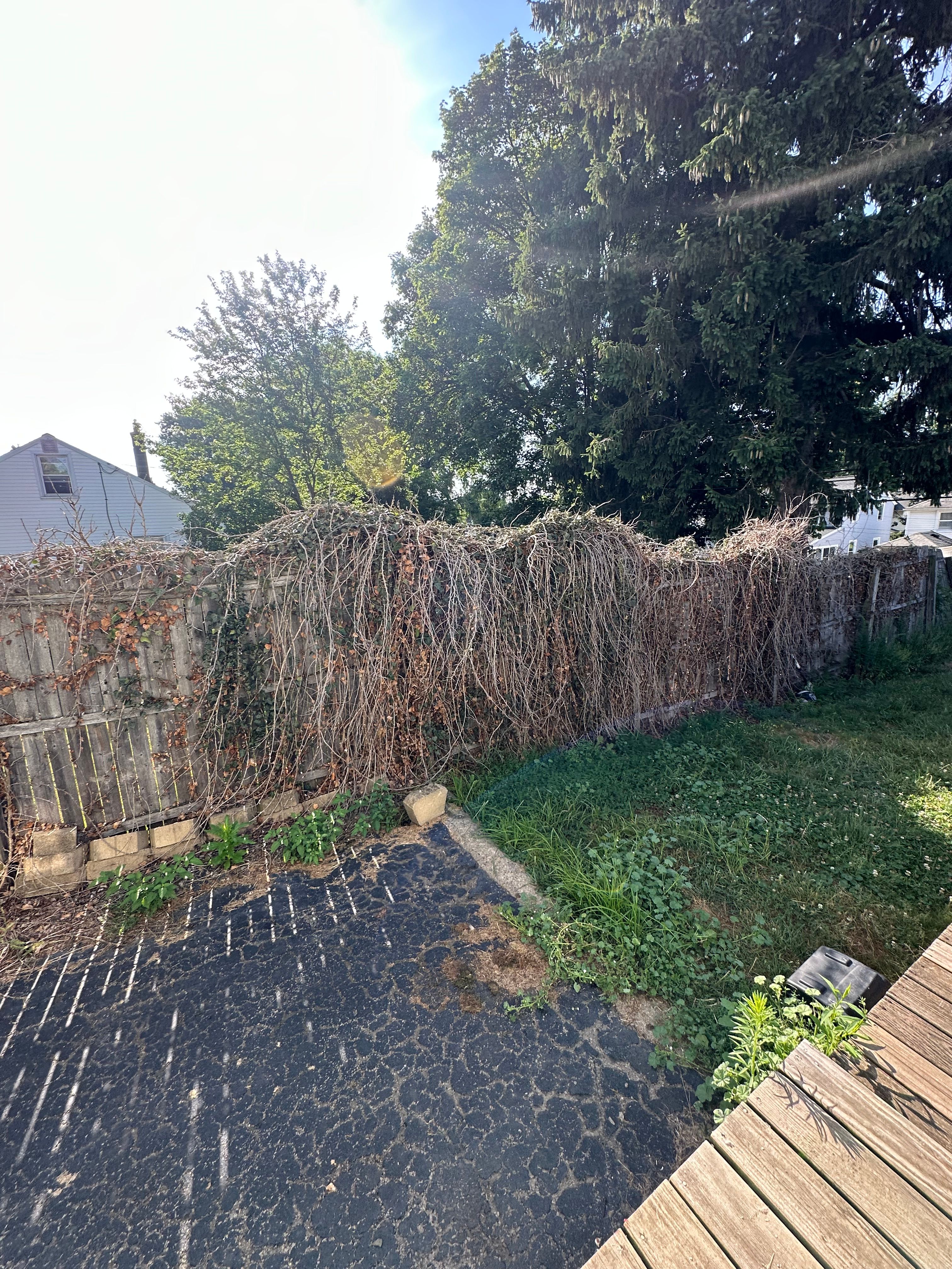  for Nate’s Handyman Services in Rochester, NY