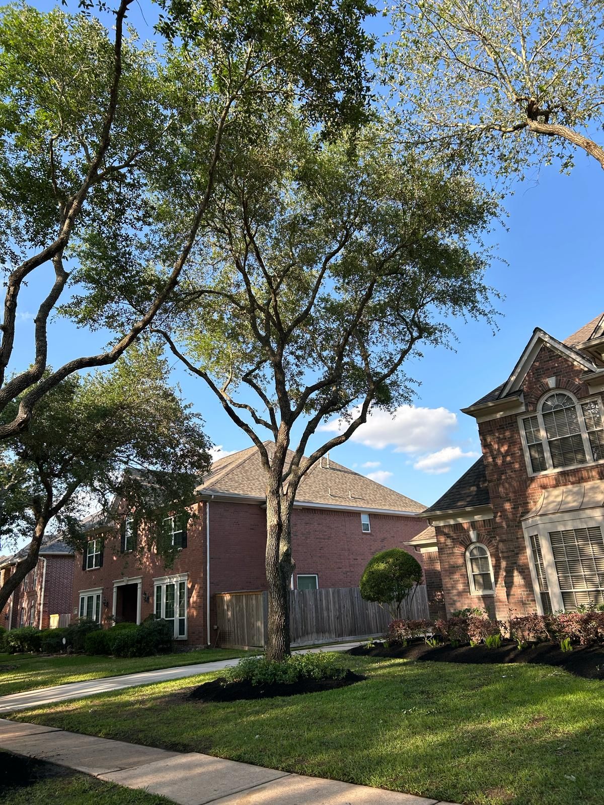  for Right Choice Landscaping LLC in Houston, TX