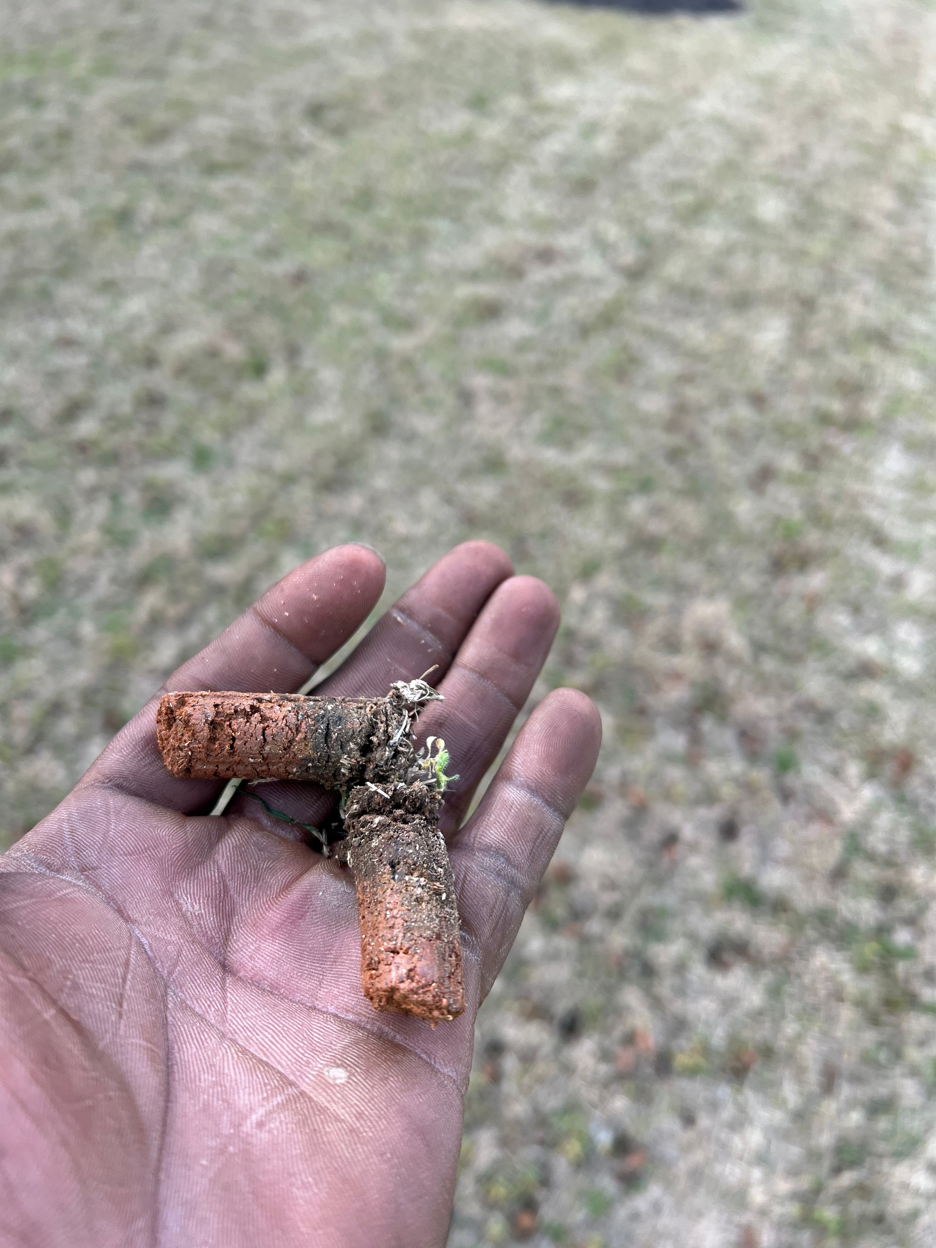  for Prime Lawn LLC in Conyers, GA