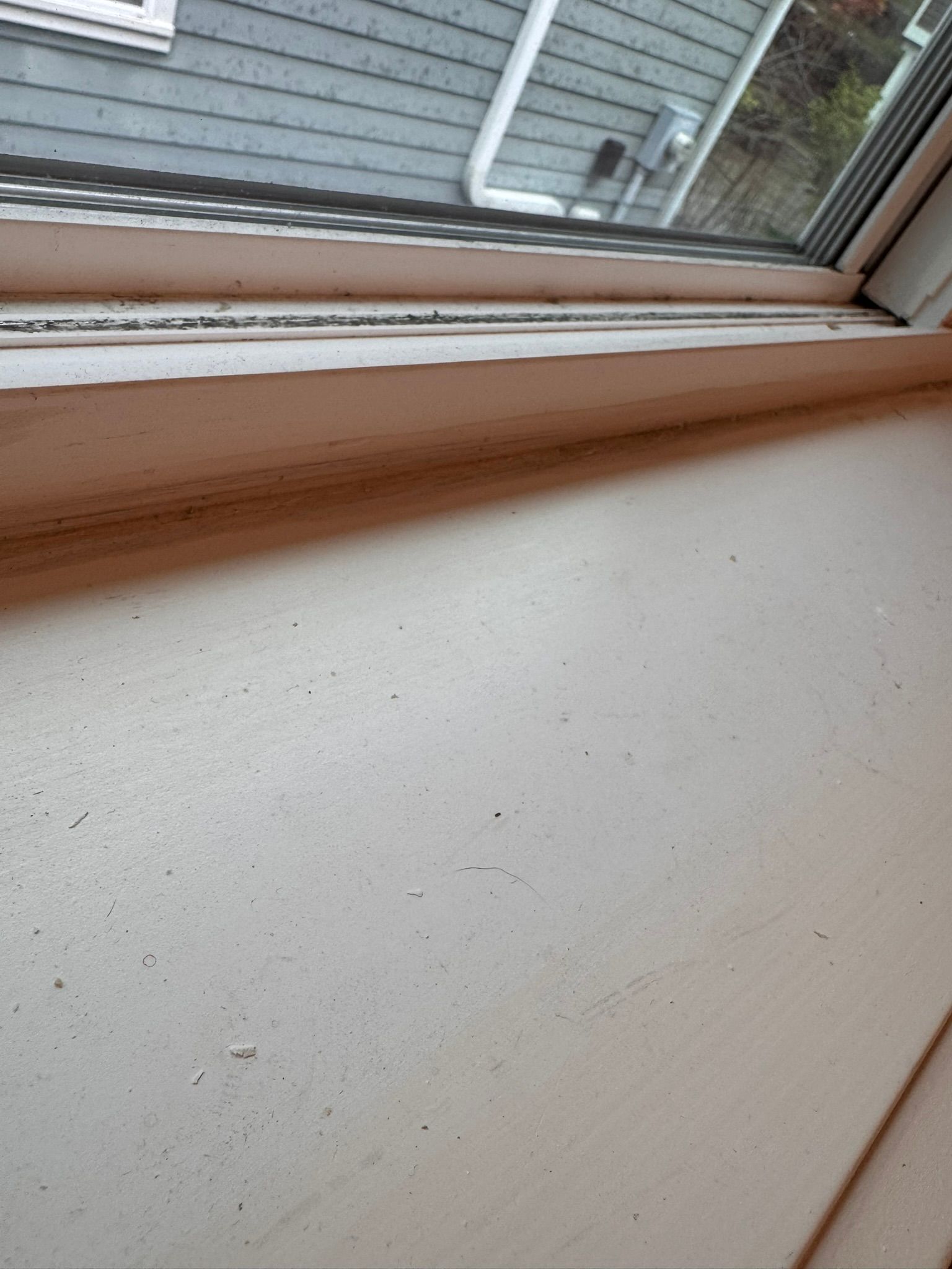  for Tony's Remodeling & Painting in Renton, WA