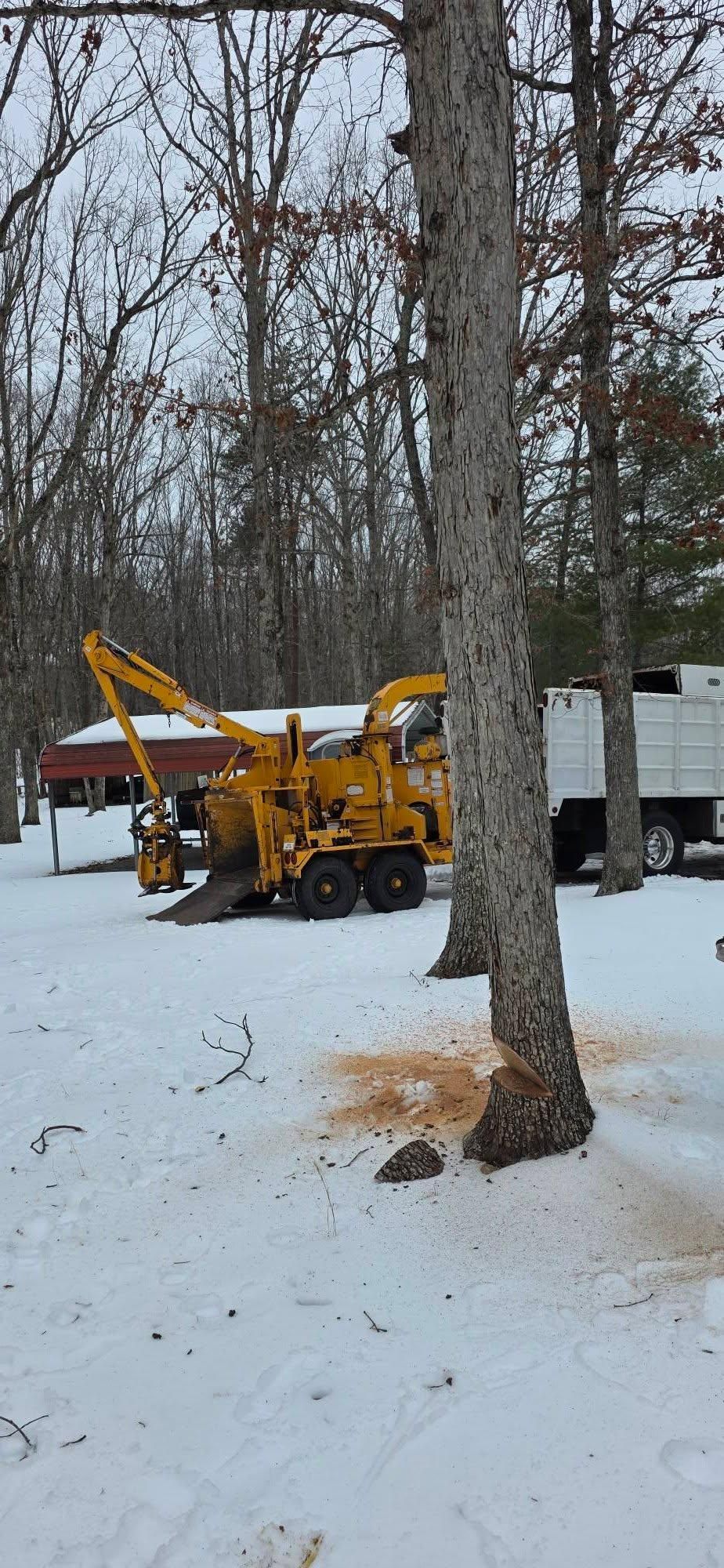  for Hamlett Tree Service LLC in Clover, VA