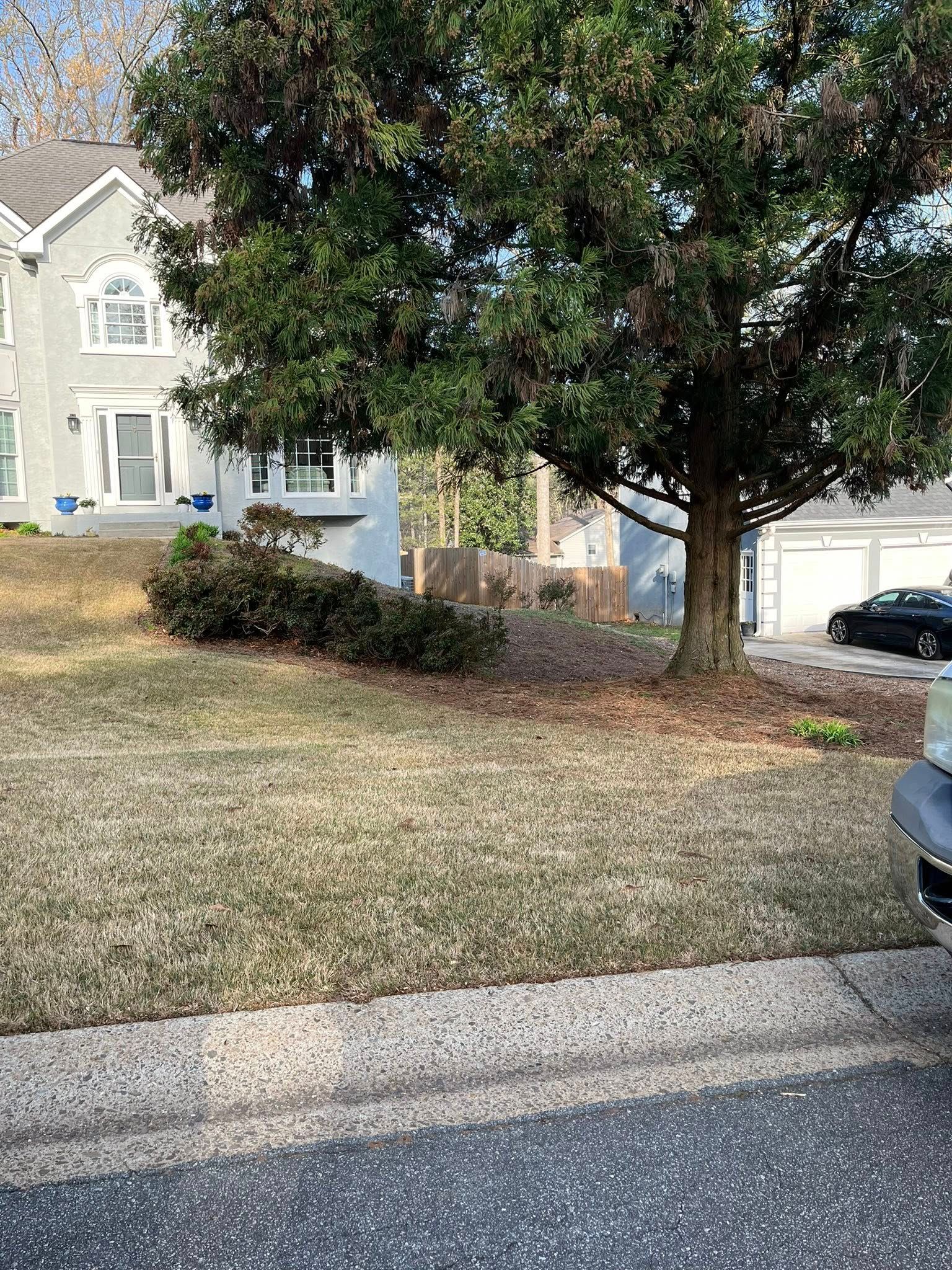  for High Tree Service & Landscaping in Atlanta, GA