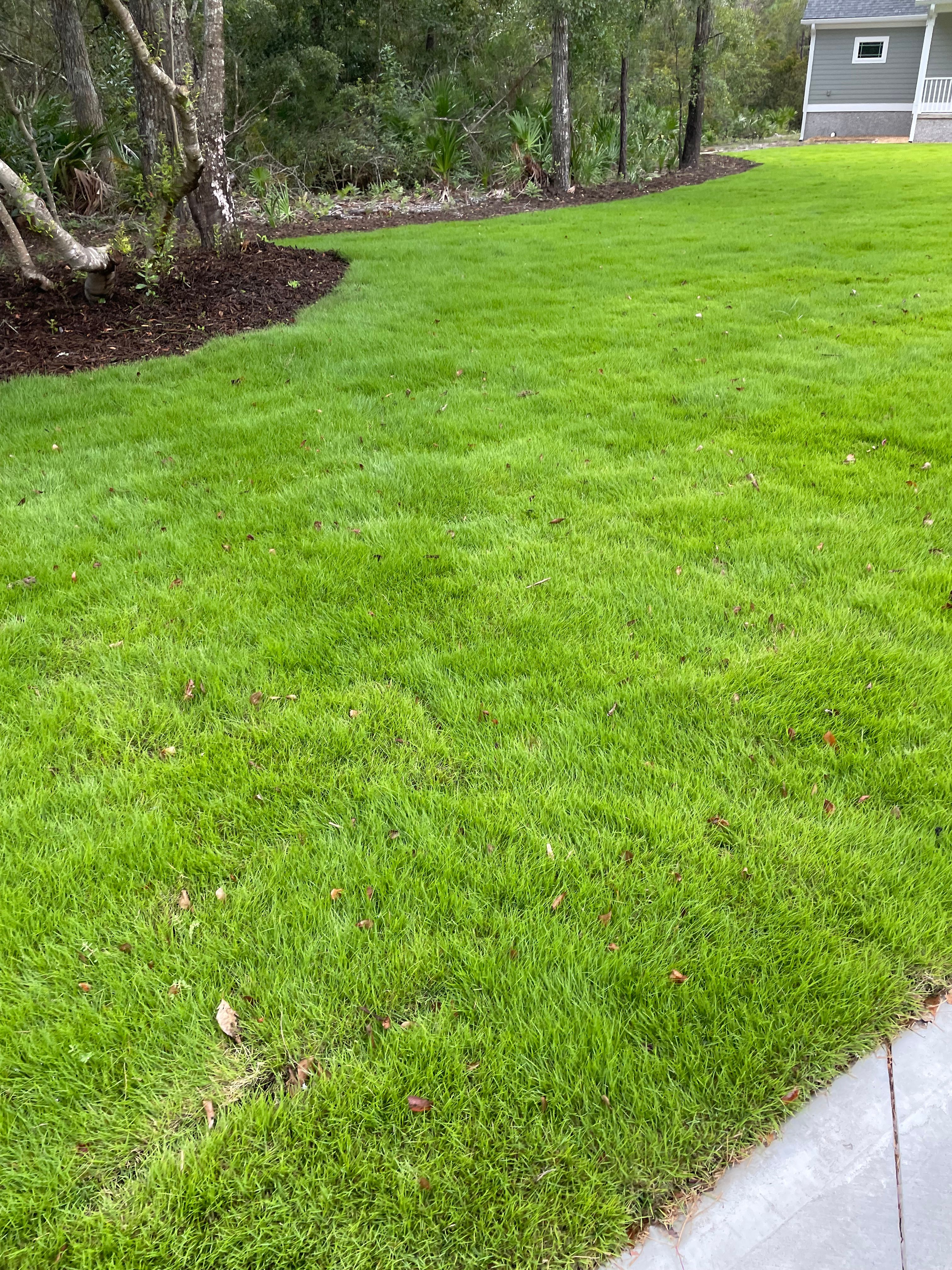  for Golden Isles Greenery in Brunswick, GA