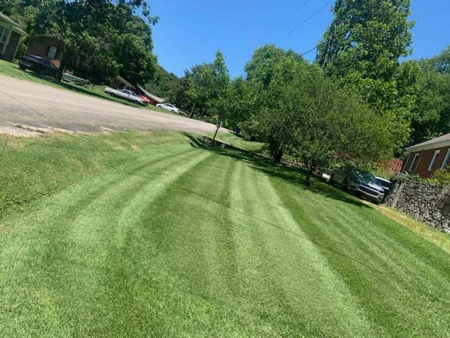 Lawn Care for Mark's Lawn Care in Mount Pleasant, TN