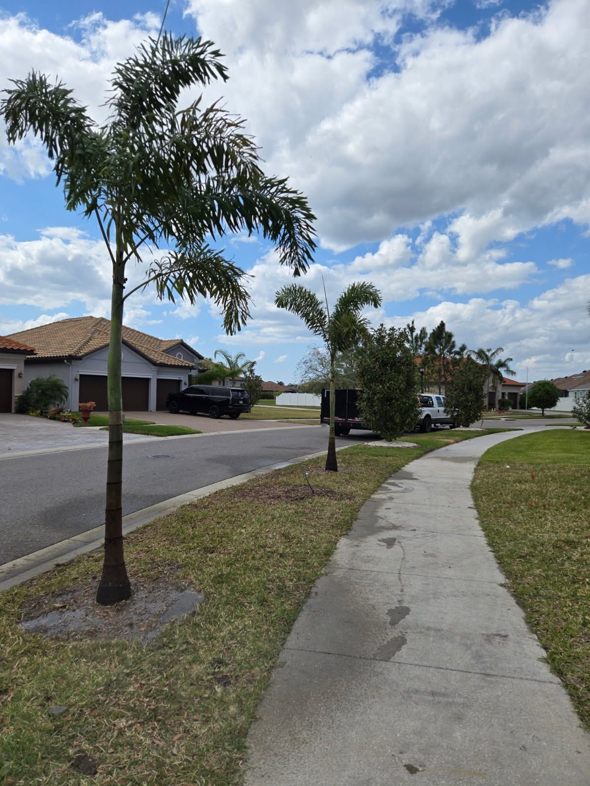 All Photos for TREE BOYS in Ruskin, FL