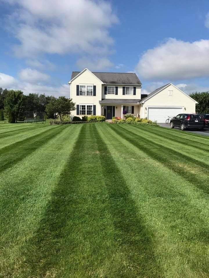  for Down To Business LLC in Howell, Michigan