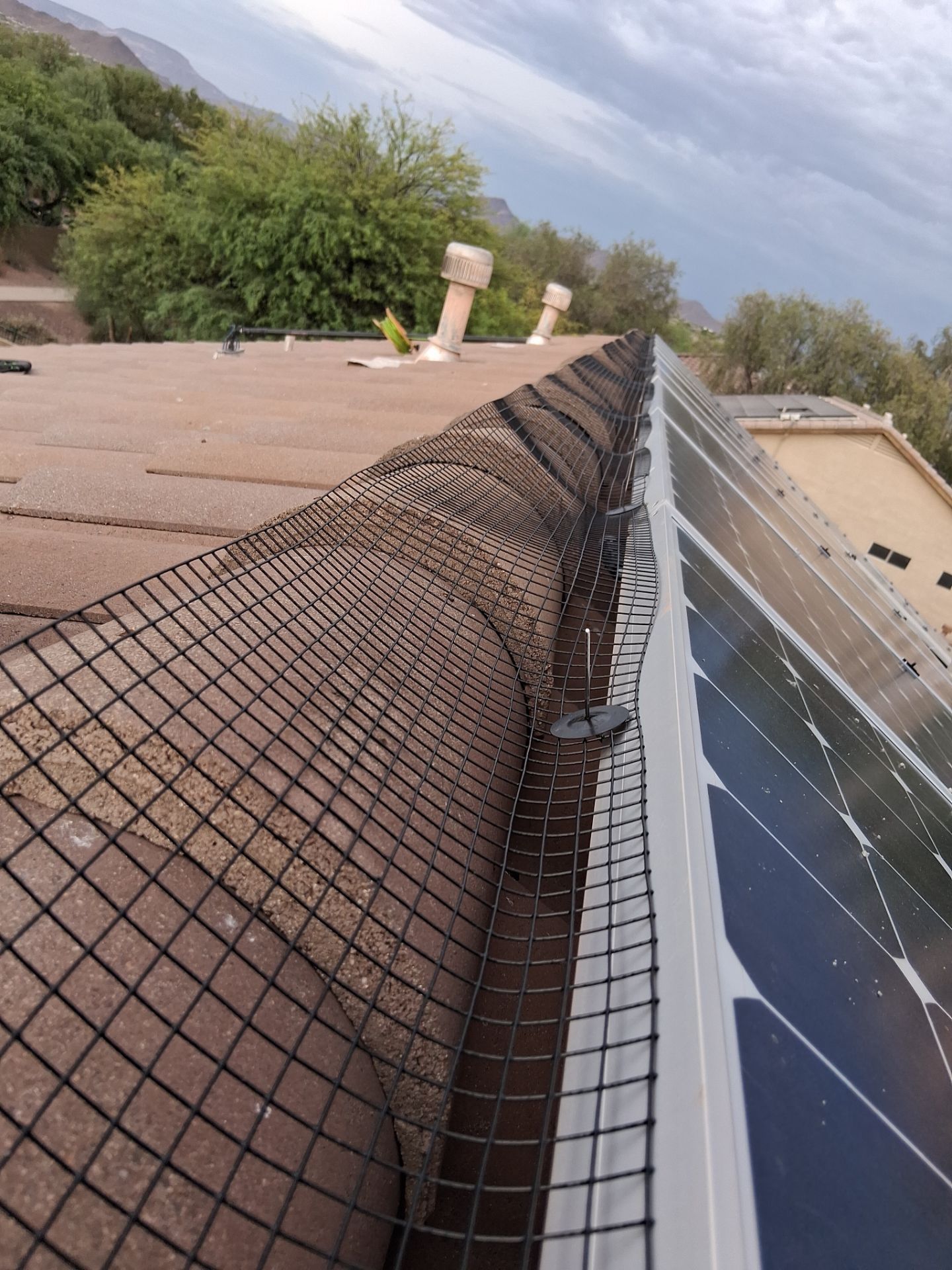  for Olson & Sons Contracting in Mesa, AZ