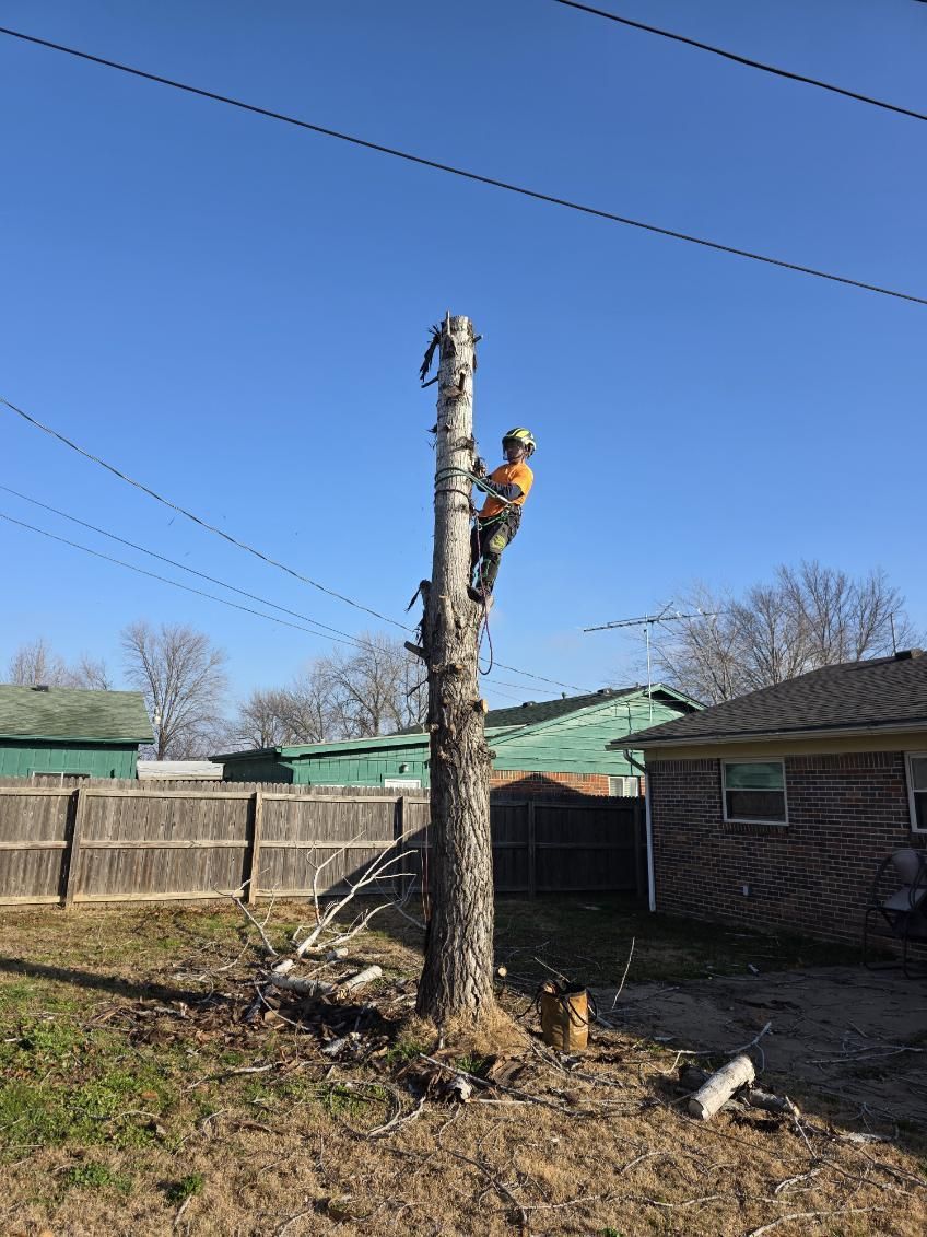  for Oklahoma Tree Guy in Bartlesville, OK