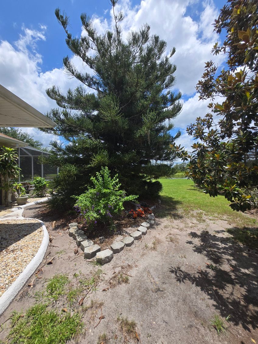 Tree Removal for TREE BOYS in Ruskin, FL