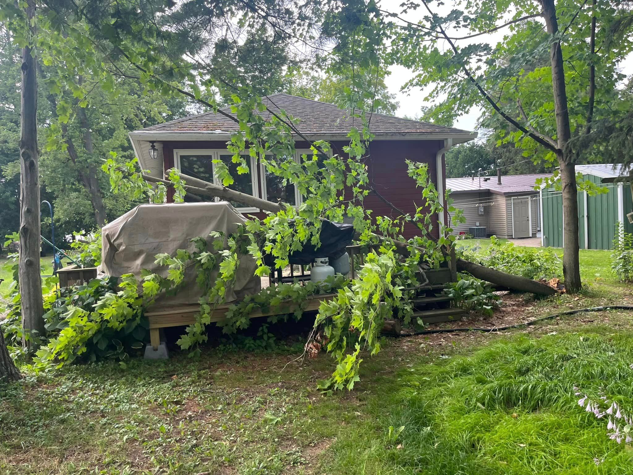  for Tree-B-Gone in Shawano, WI