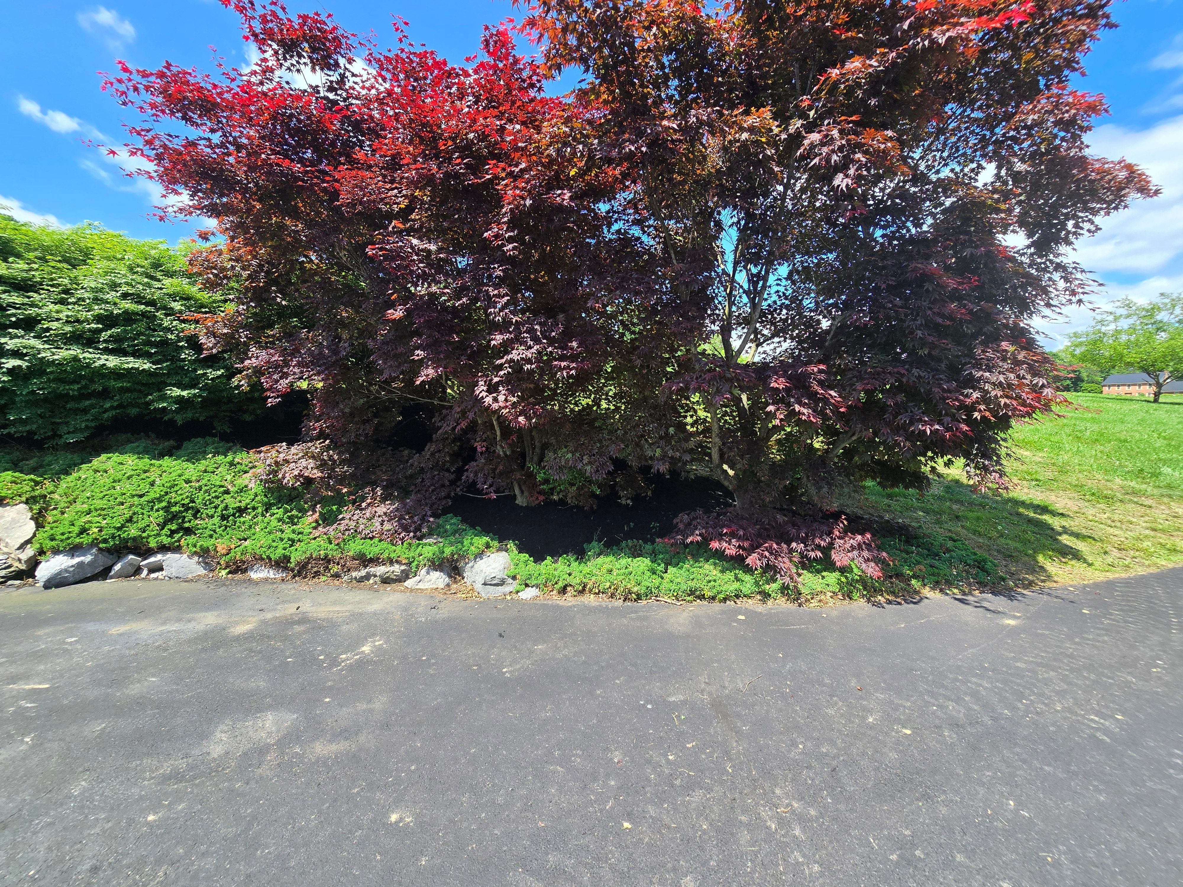  for Down Home Landscaping in Stillwater, PA