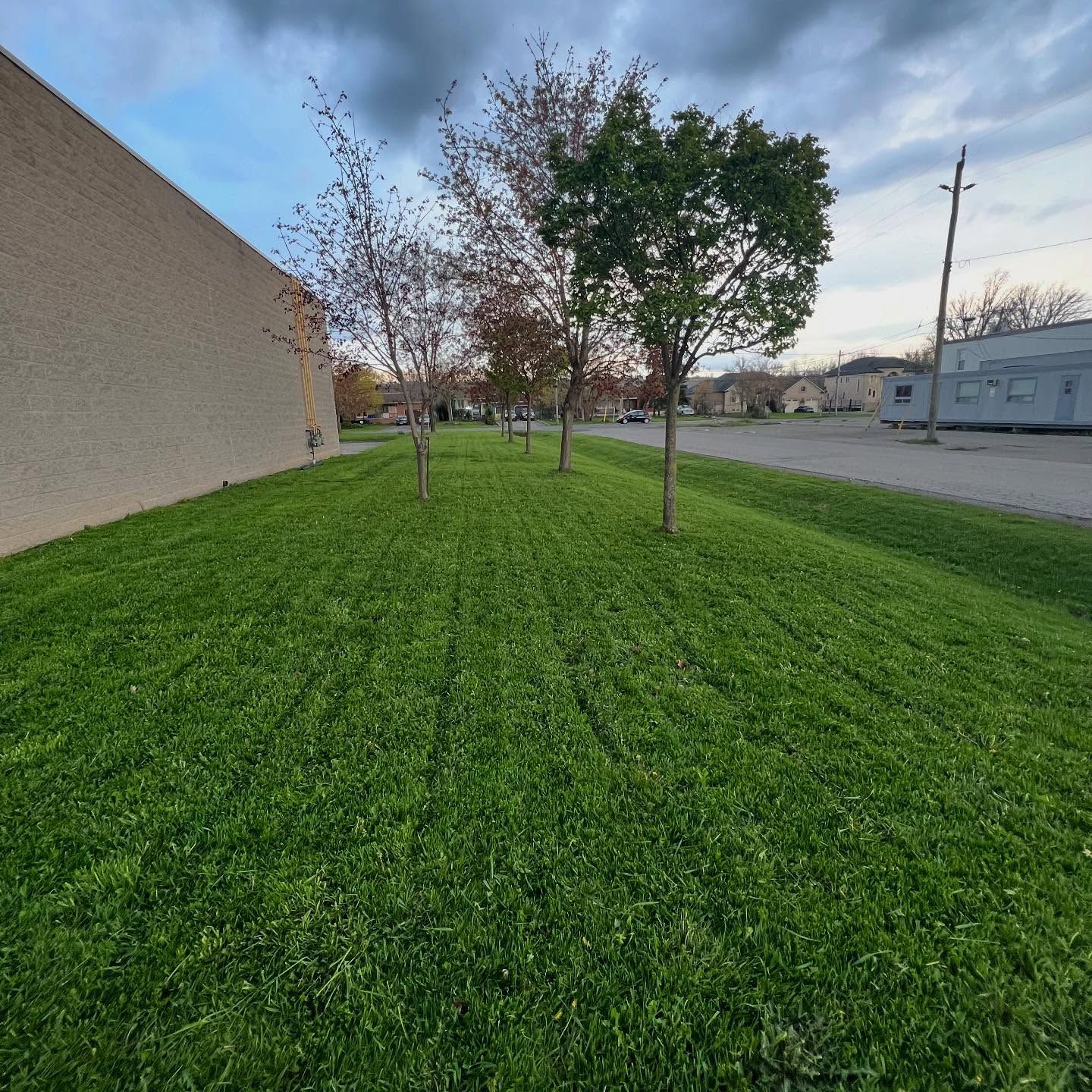  for CMN Exterior Maintenance in Hamilton, ON