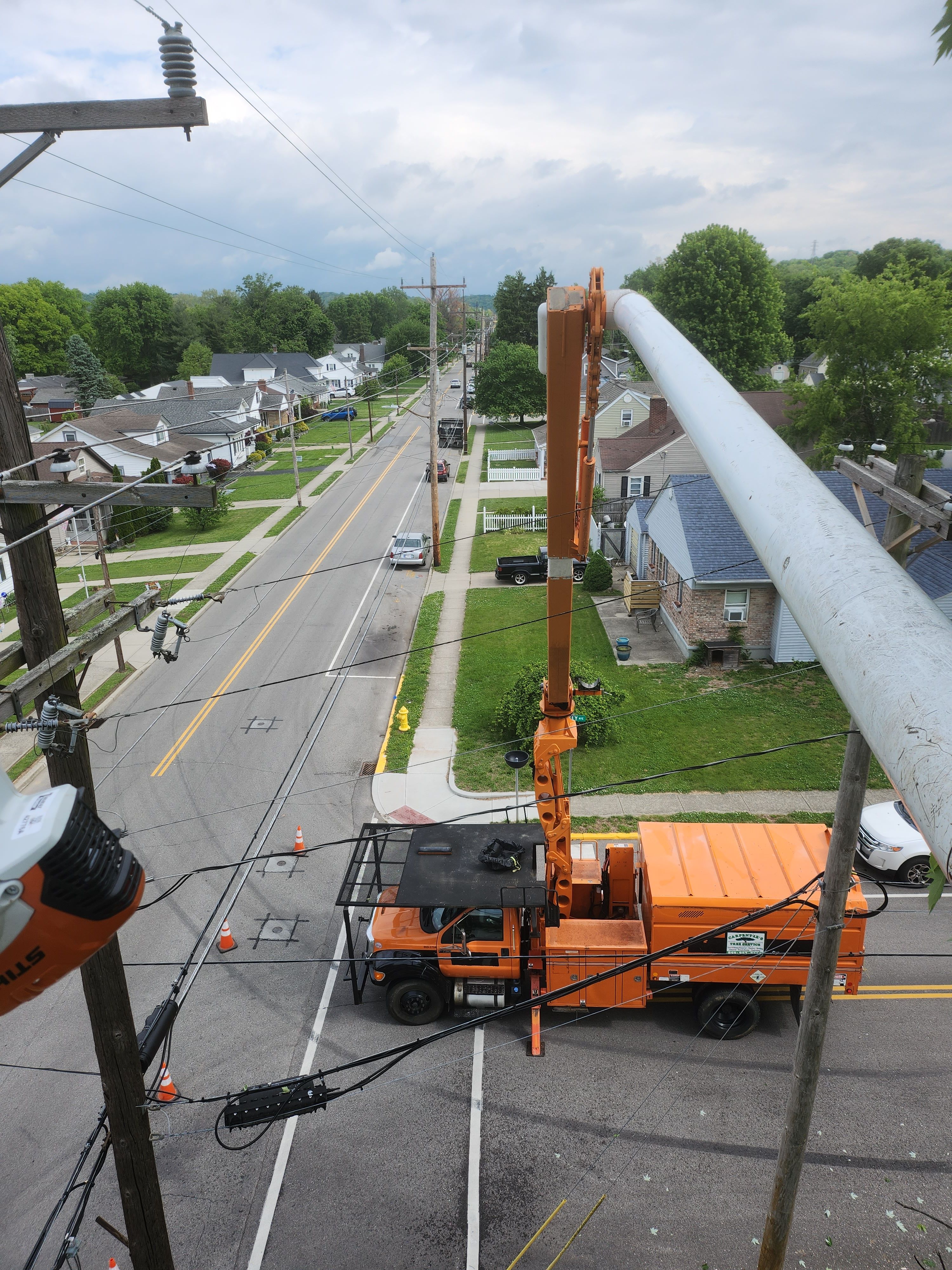  for Carpenter's Tree Service in Aurora, IN