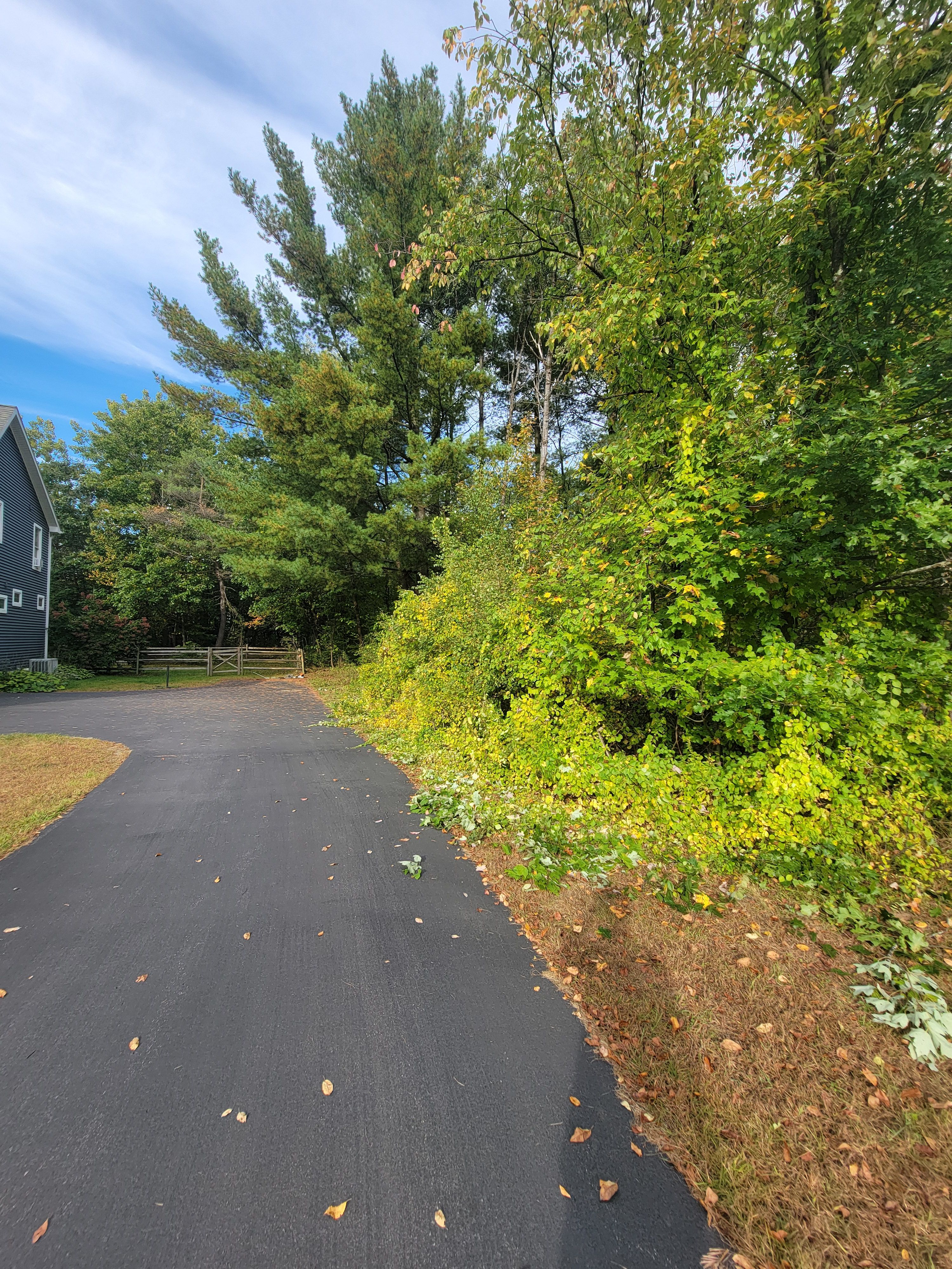  for Sweet Scapes in Ballston Spa, NY
