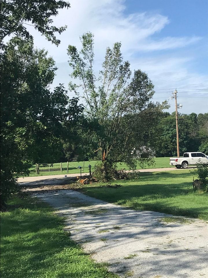  for Reagan & Sons Tree Service in Dandridge, TN