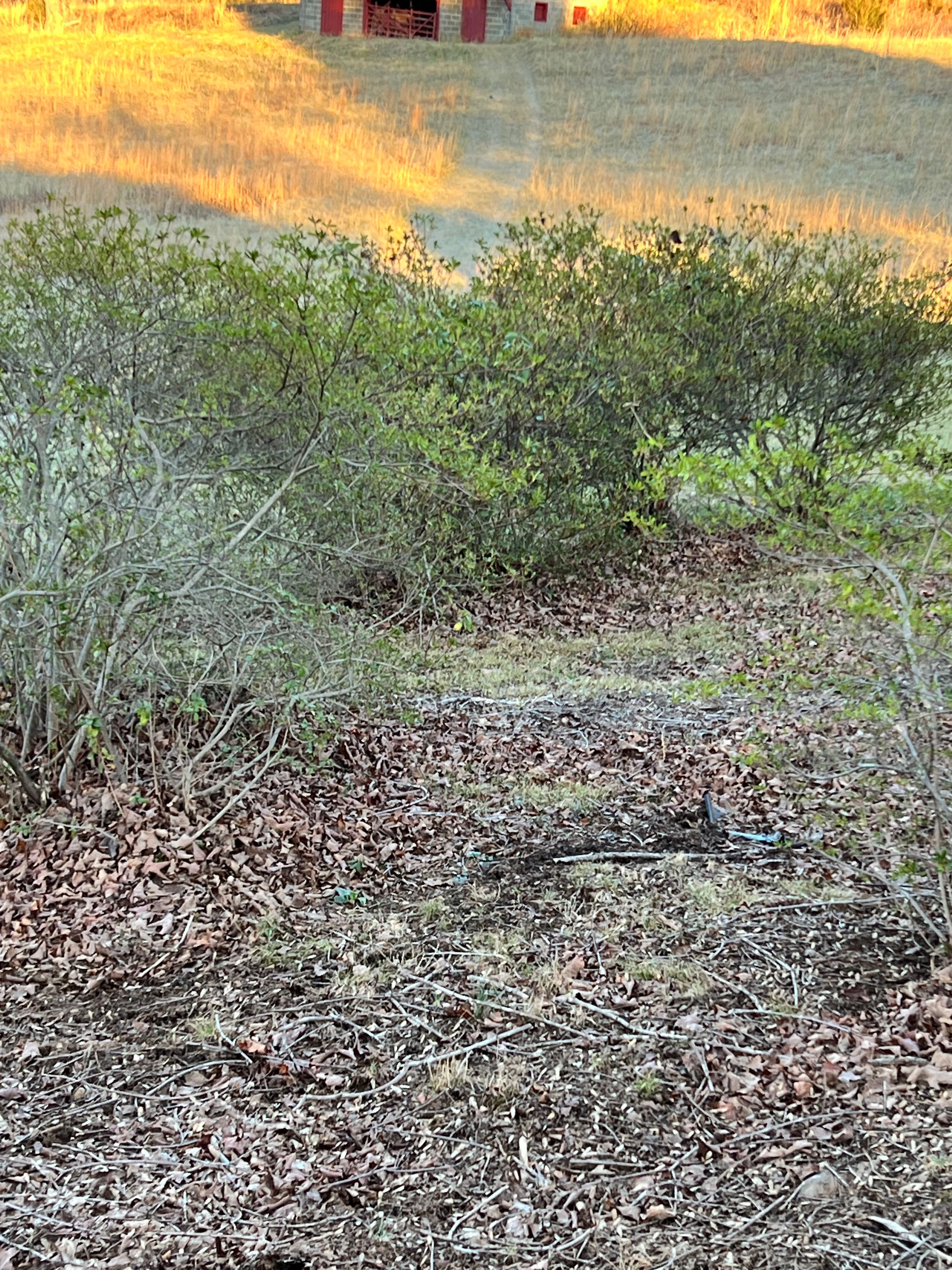  for Valencia’s Lawncare in Charlottesville, VA