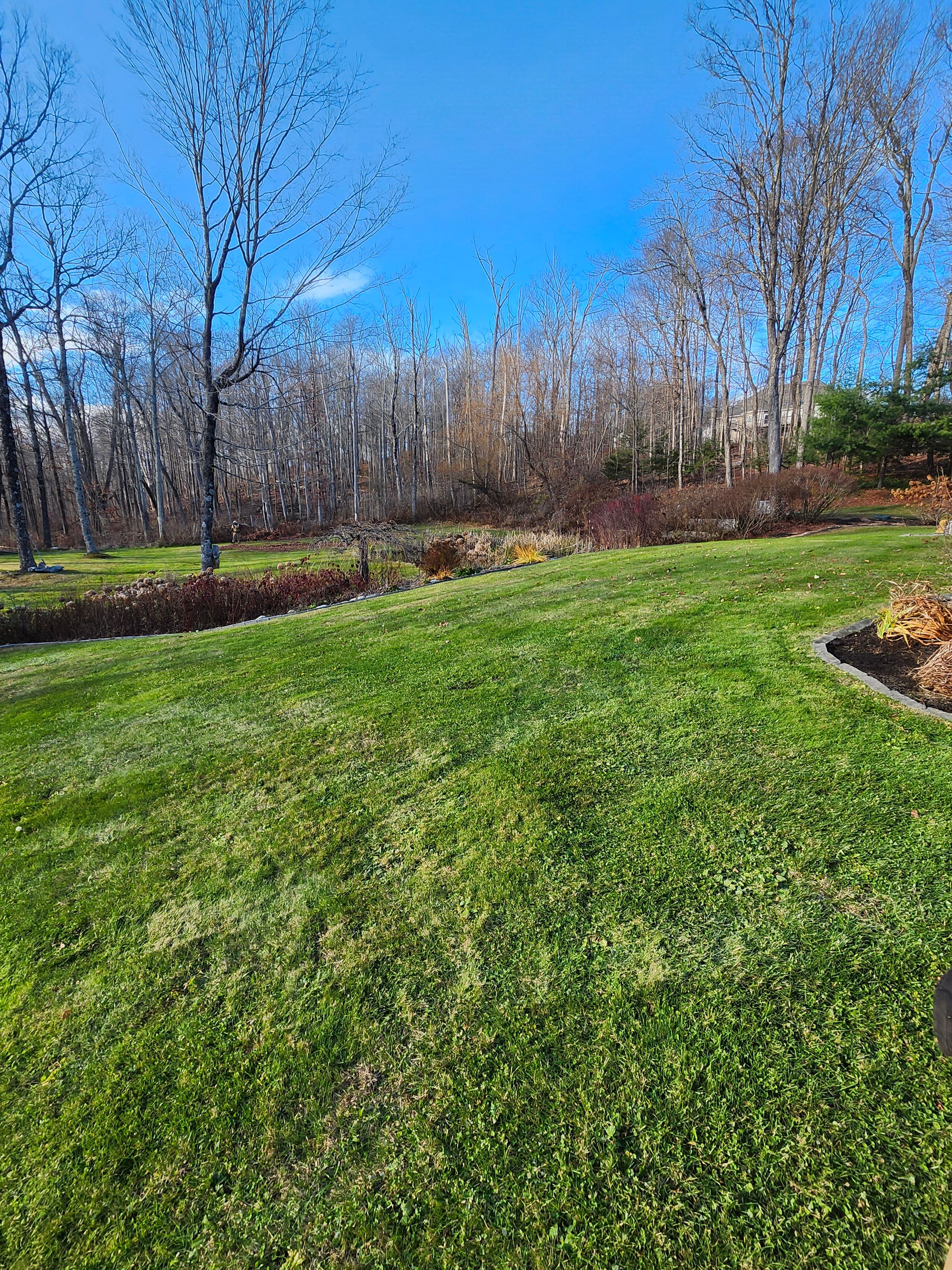Spring & Fall Cleanups for Landscape Innovations LLC in Torrington, CT