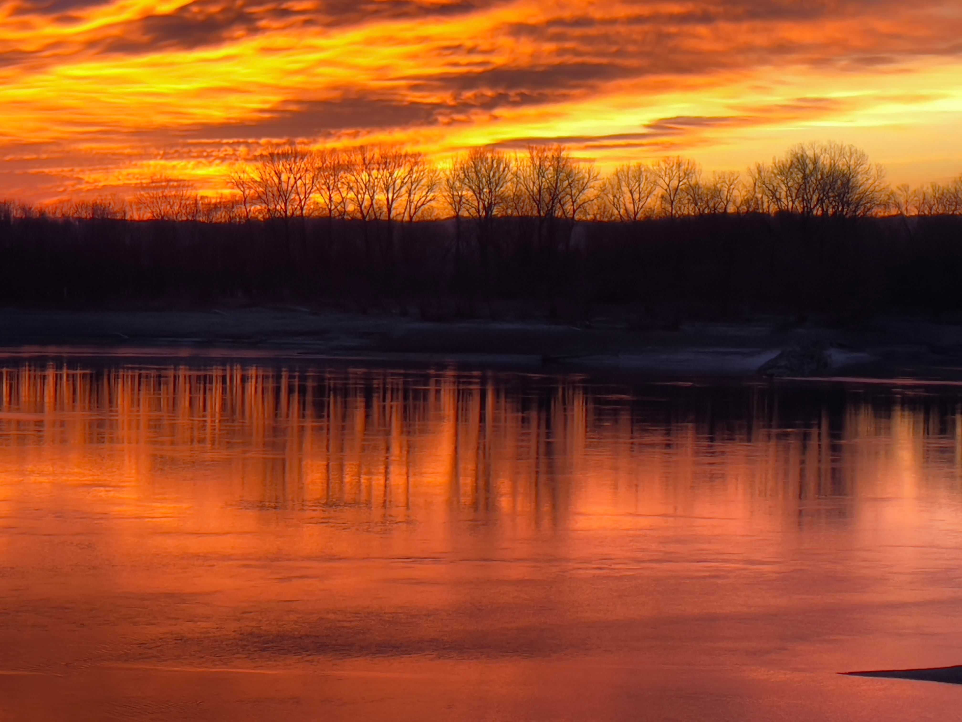  for See2it Clean in St Louis, MO