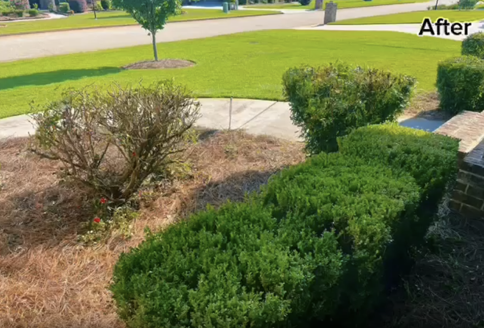  for Velsain Landscapes in Warner Robins, GA