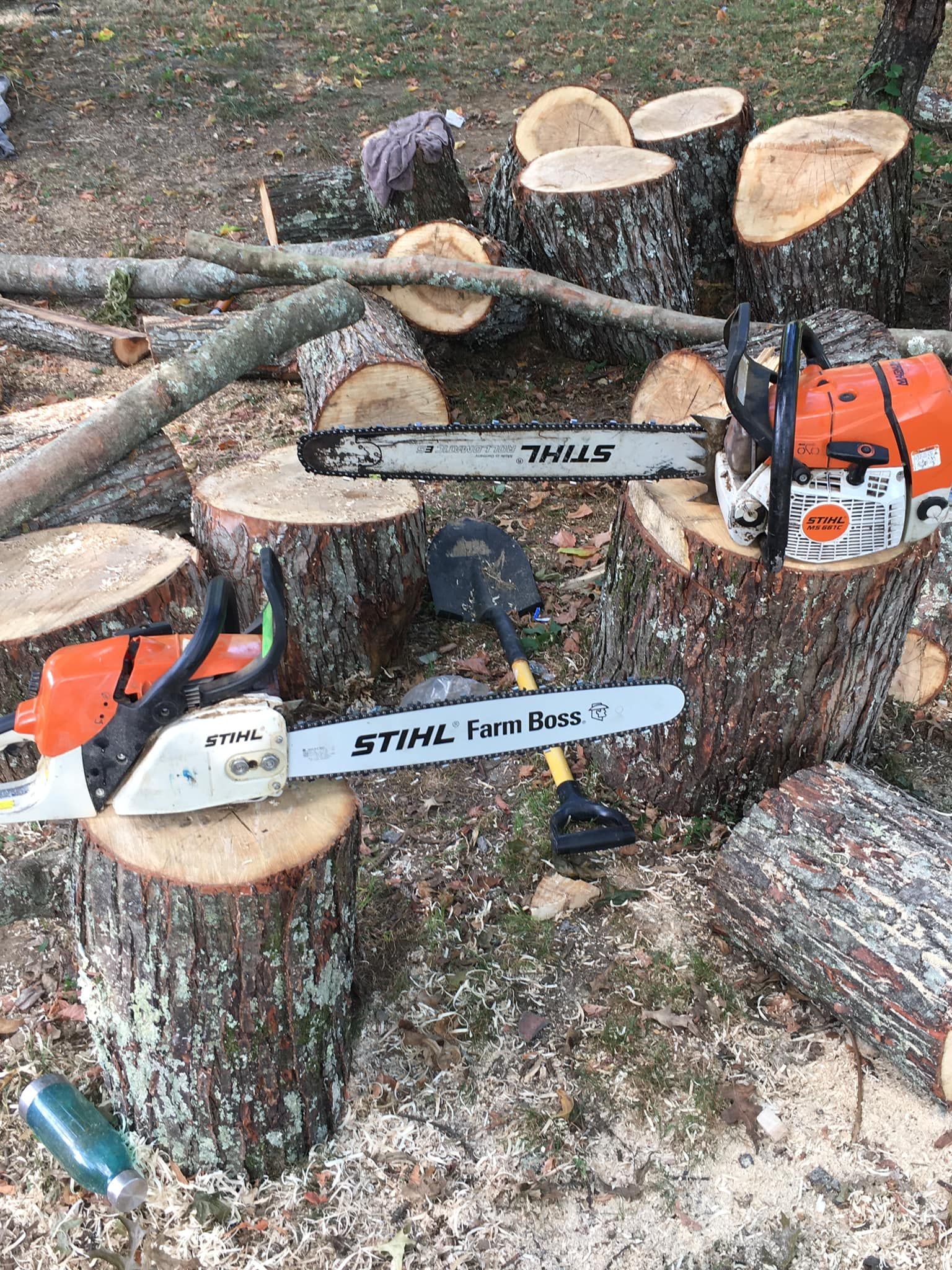 All Photos for Brocks Tree Service LLC in Rogersville, TN