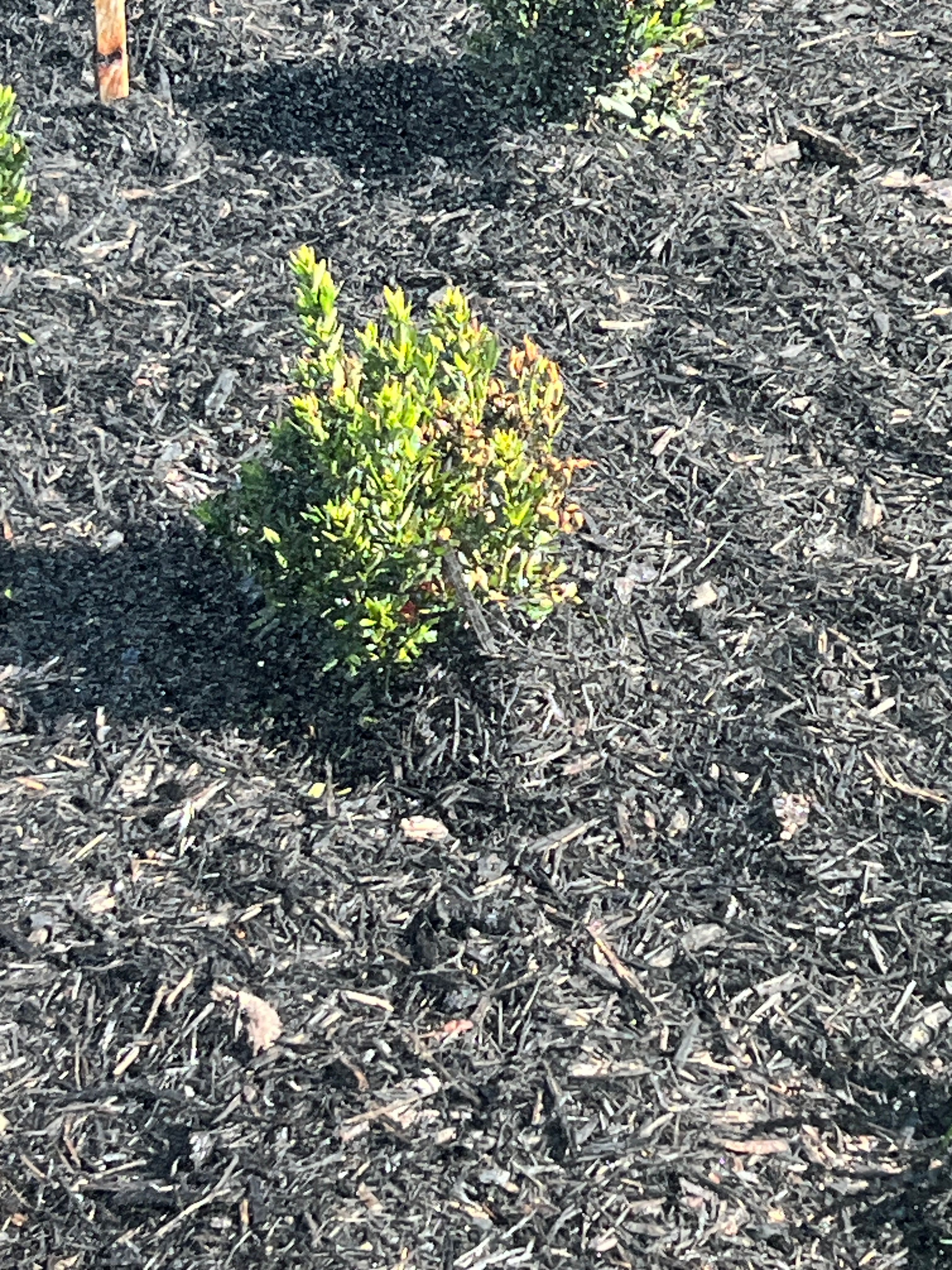  for C4 Ground Control in Oviedo, FL