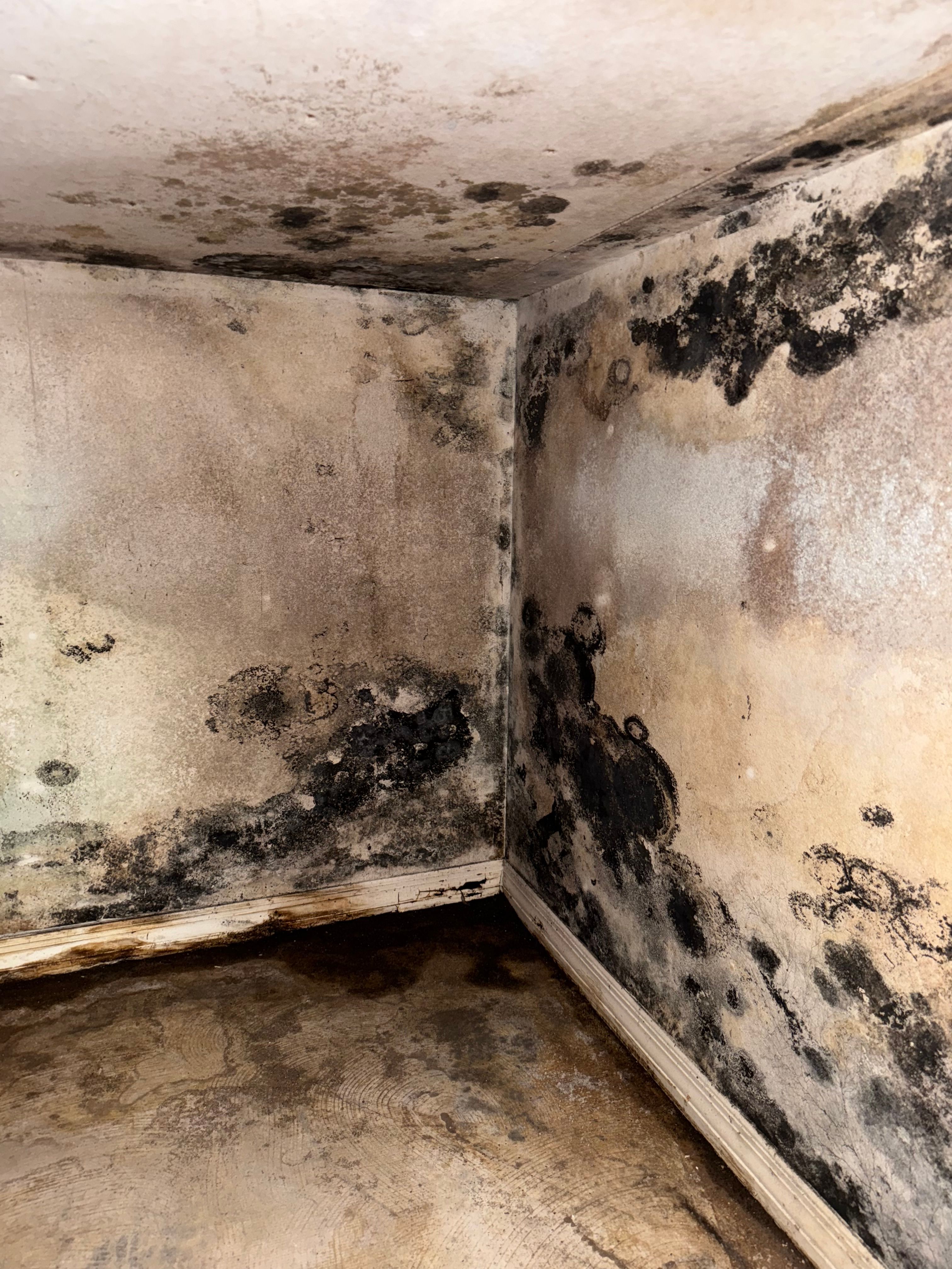  for N&D Restoration Services When Disaster Strikes, We Come In in Cape Coral,  FL