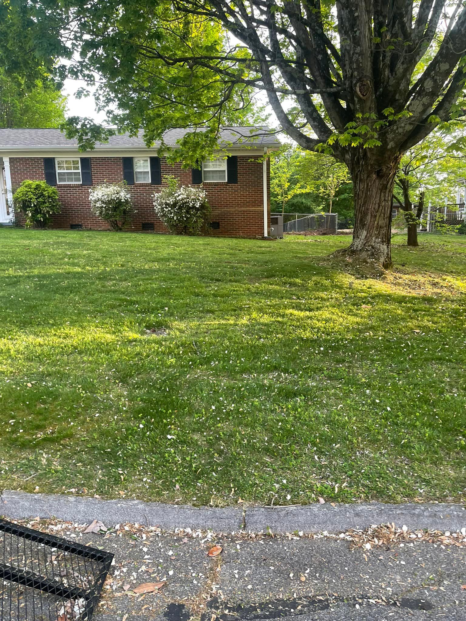 Lawn care and Landscaping for R&M Property Maintenance in White Pine, TN