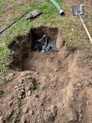  for Reliable Septic Tank Services in Marion County, FL in Reddick, FL
