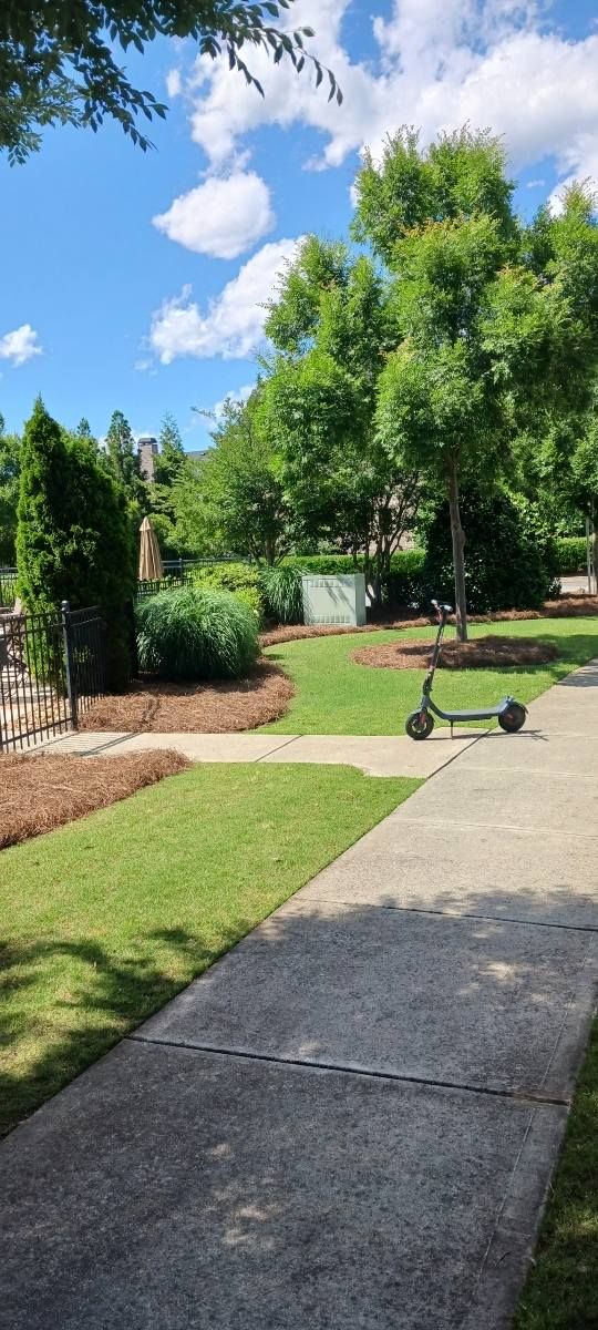 All Photos for BAM Another Pinestraw Lot in Flowery Branch, GA
