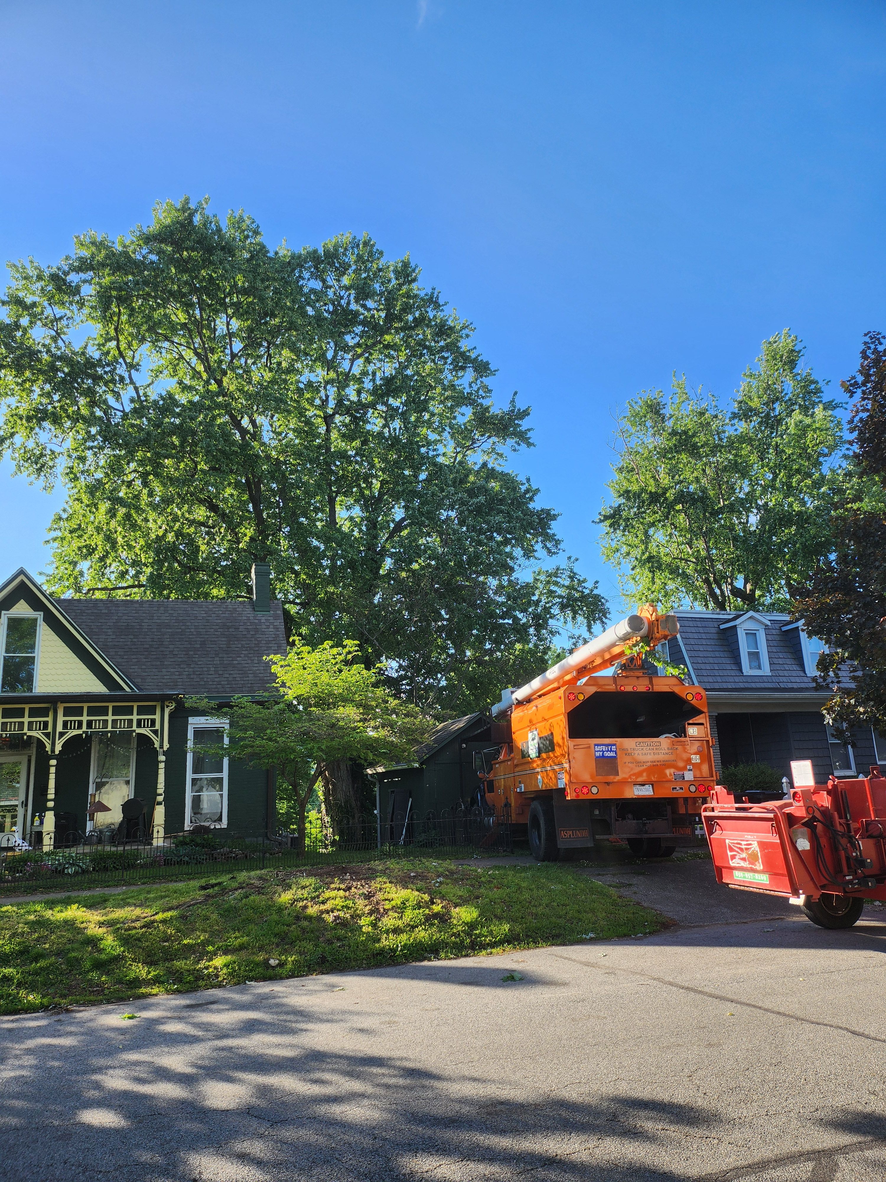  for Carpenter's Tree Service in Aurora, IN