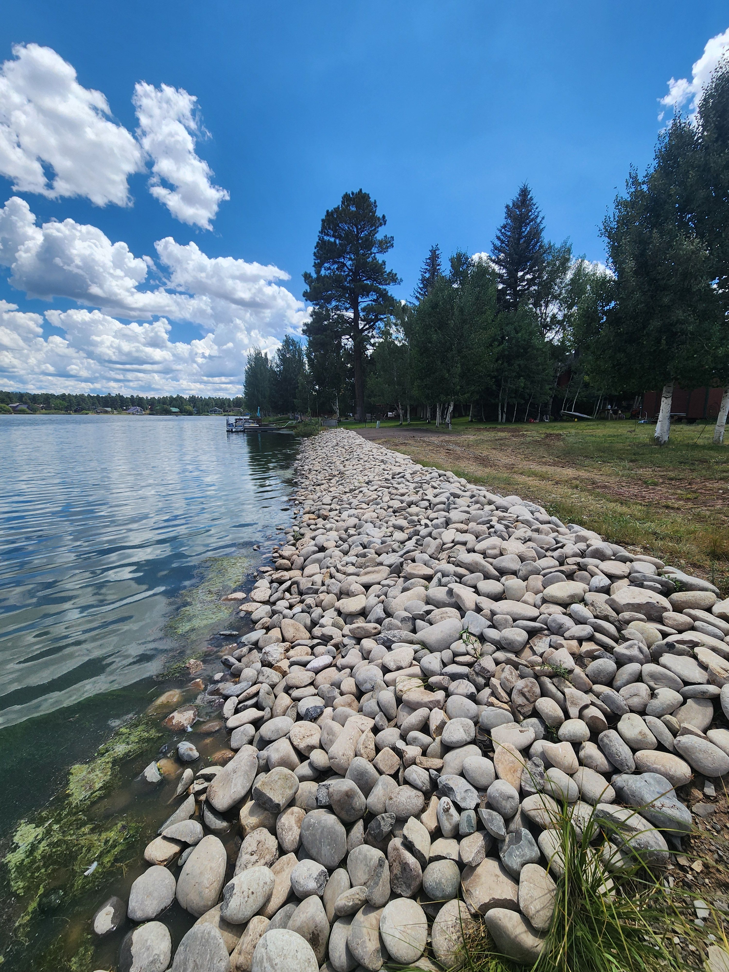  for Markham Septic & Excavation in Pagosa Springs, CO