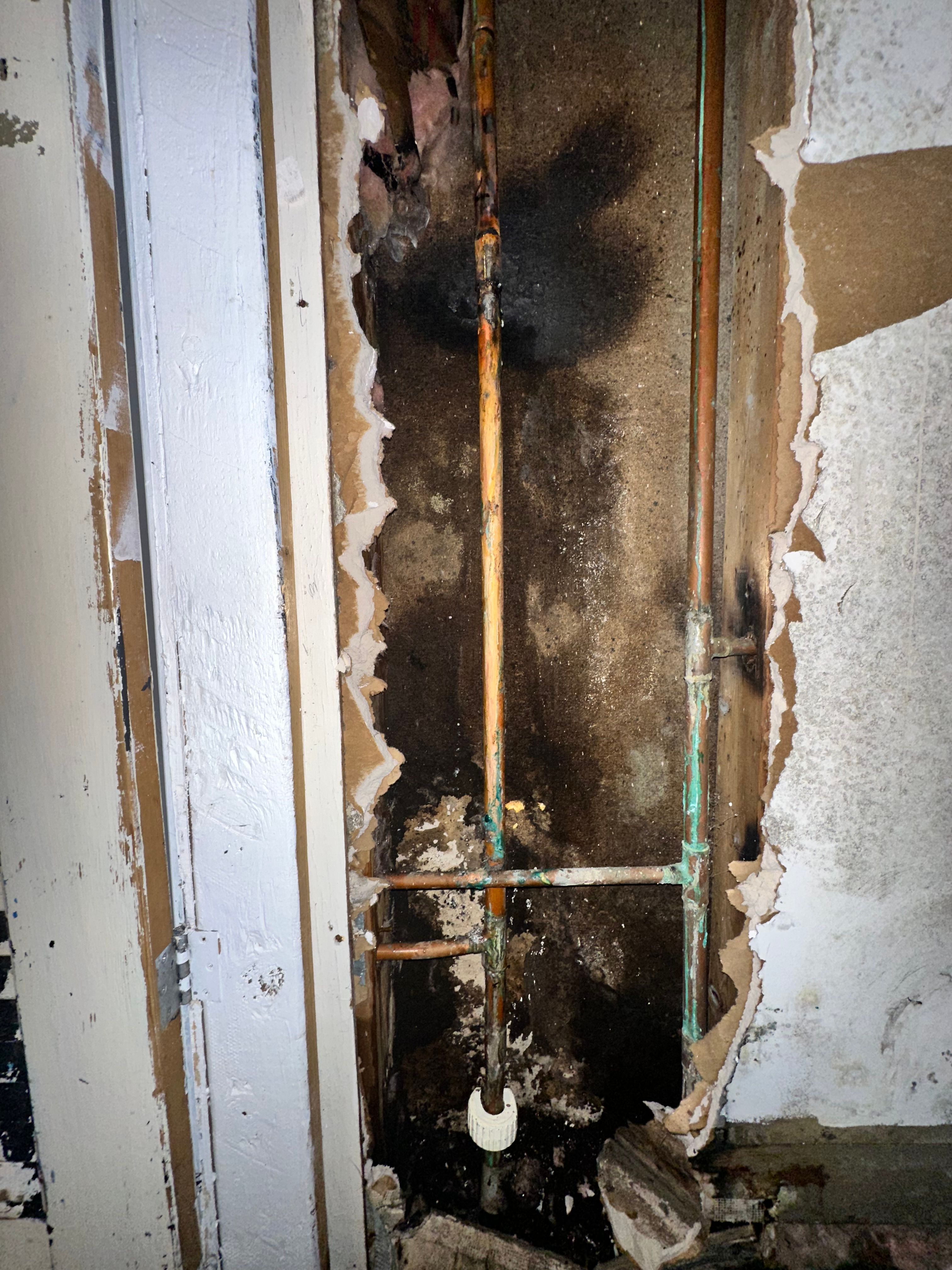 All Photos for The Golden Plumber in Pensacola, FL