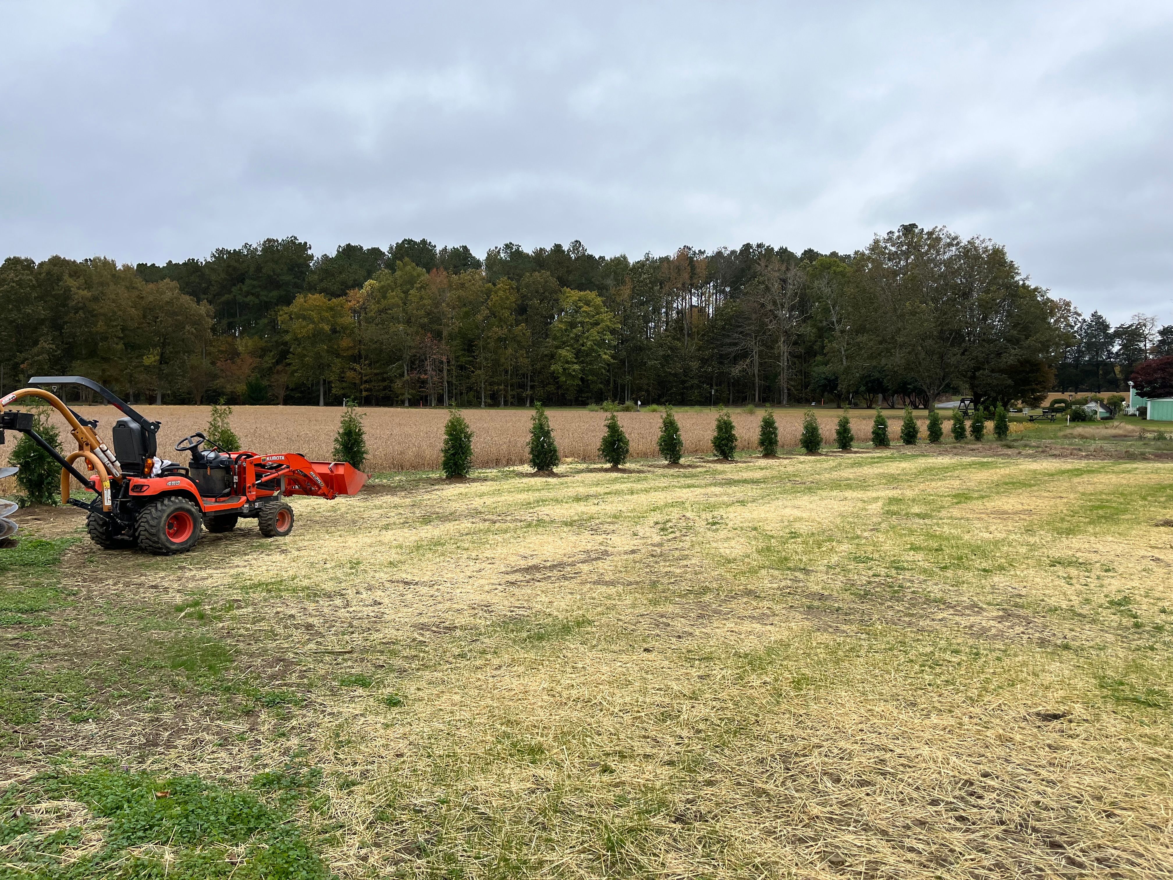  for Atlas Home Services in Mechanicsville, VA