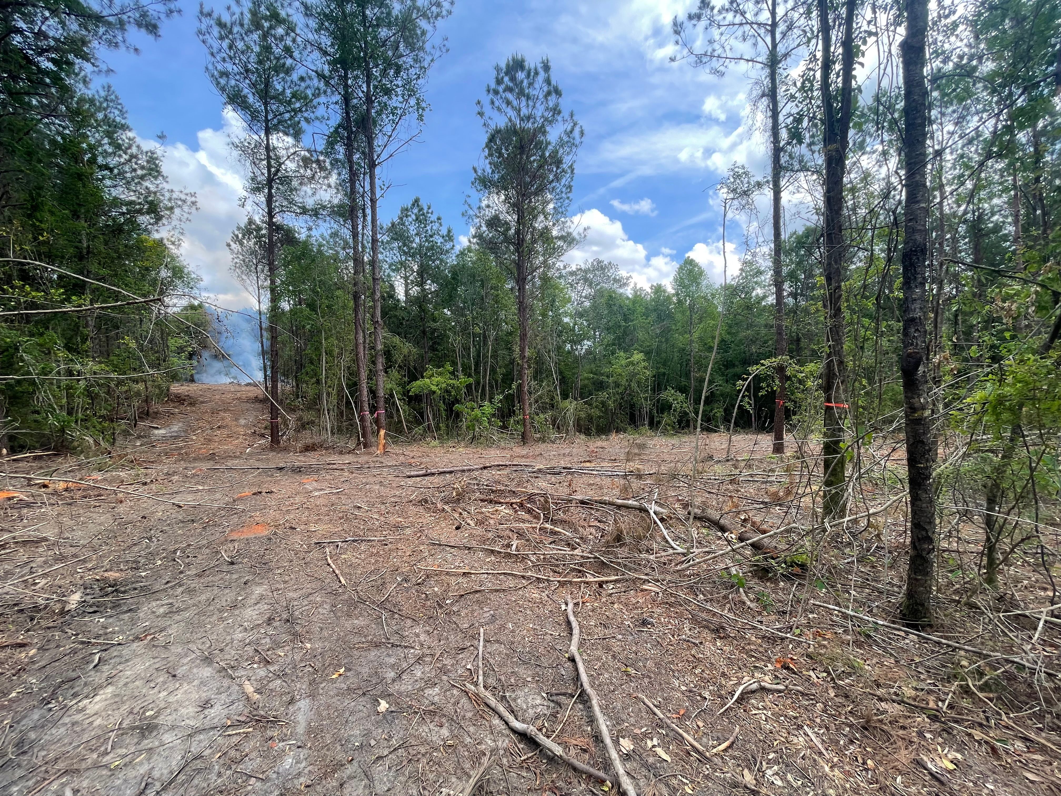  for Platinum Construction llc in Pearl River, MS