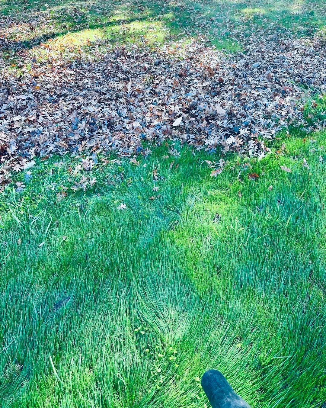  for Nate's Property Maintenance LLC  in Lusby, MD