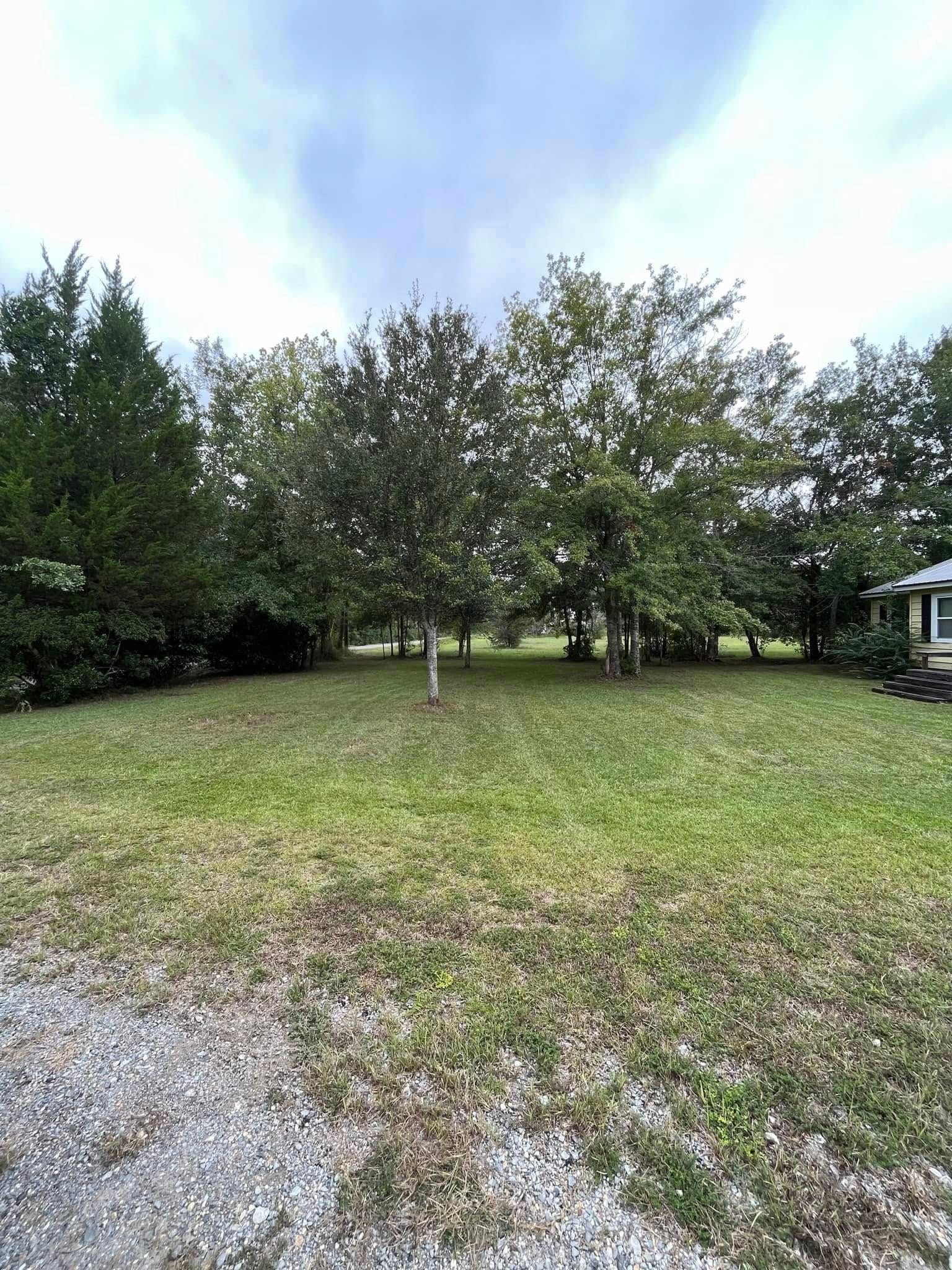  for Landscaping Pros in Hurley, MS