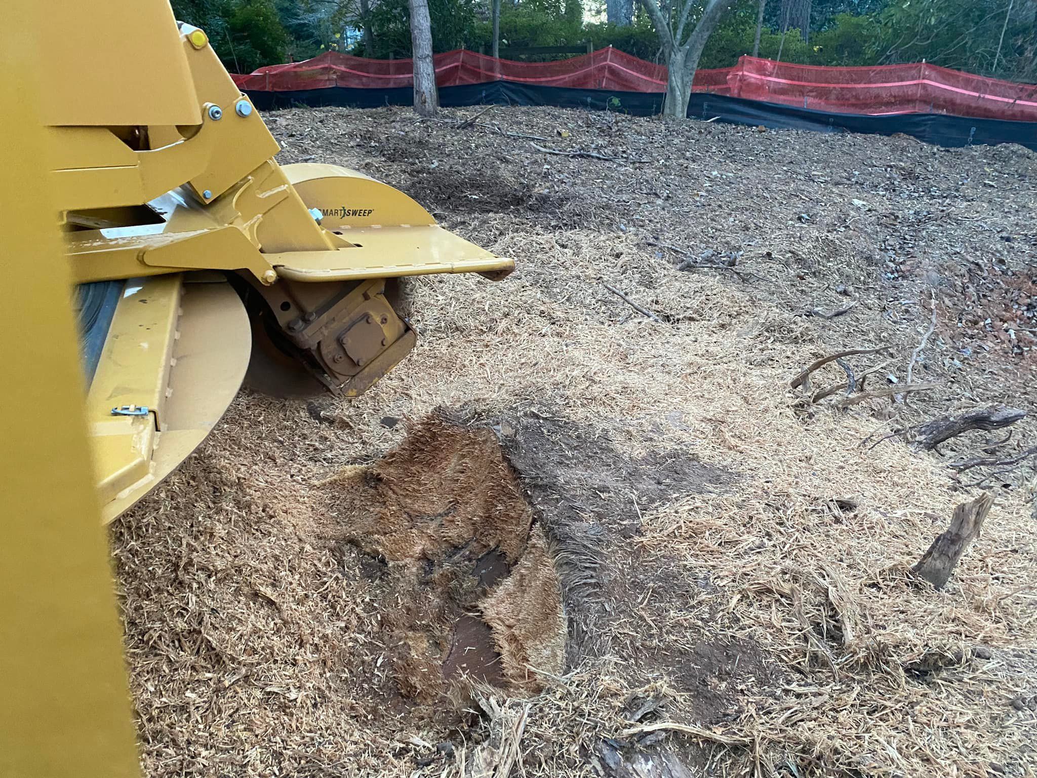 Other Services for J&M Stump Grinders LLC in Douglasville, GA